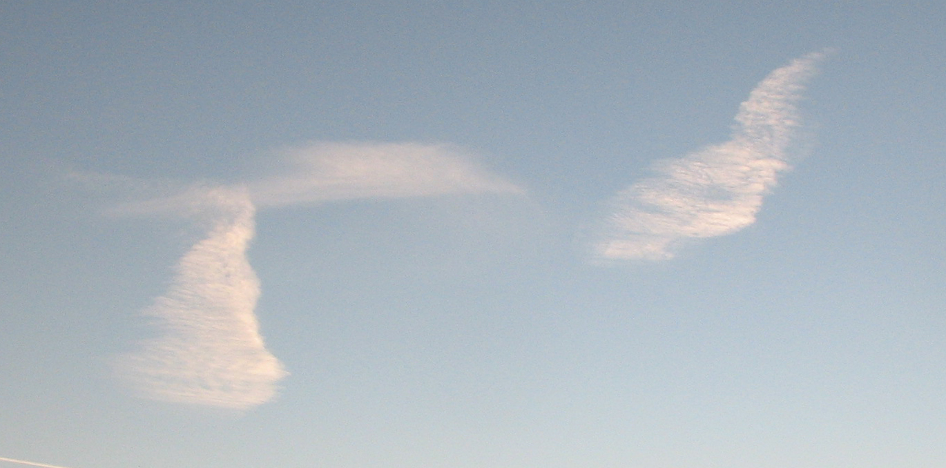 Basentee "Guter Morgen"