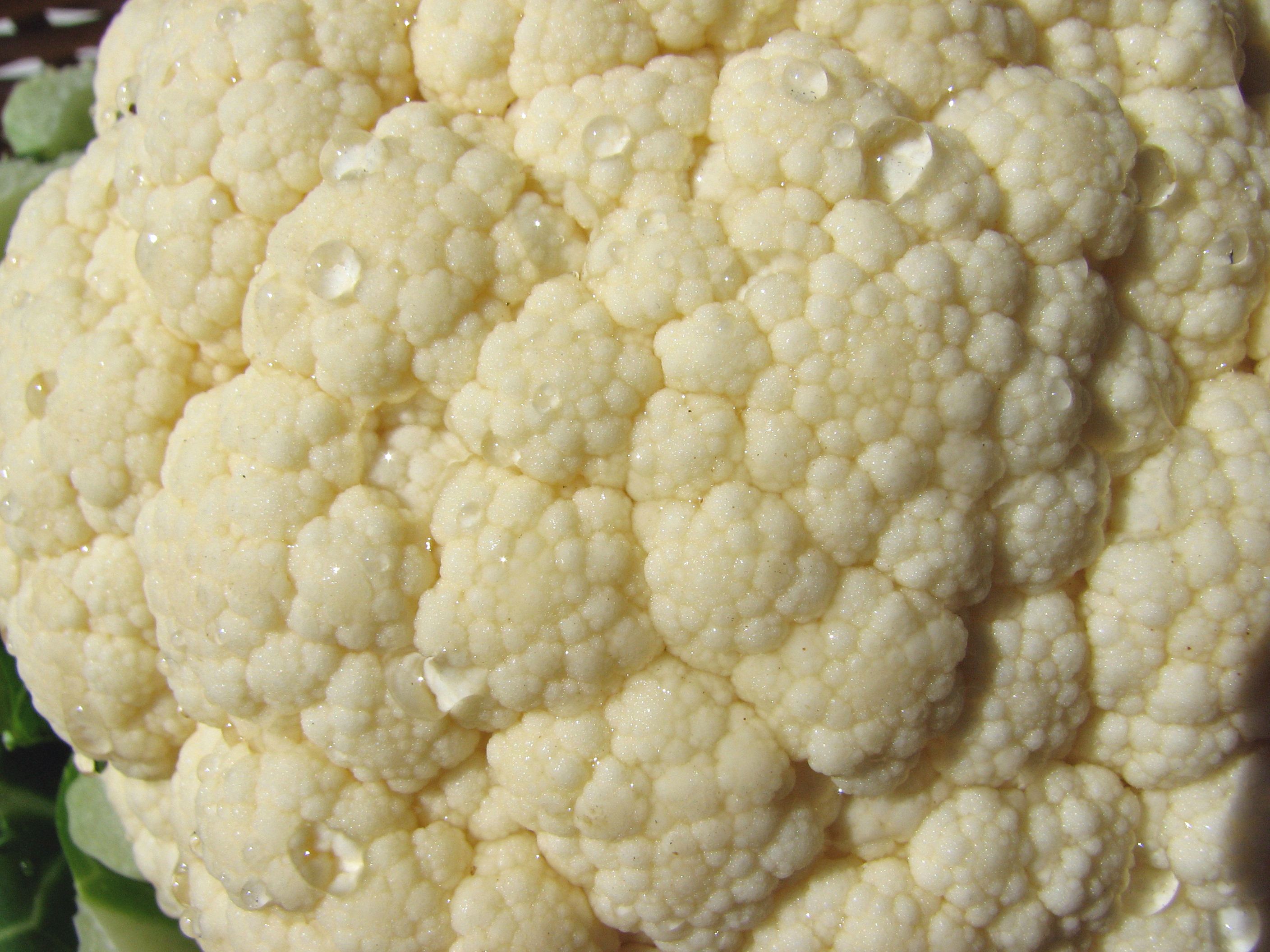 Karfiol