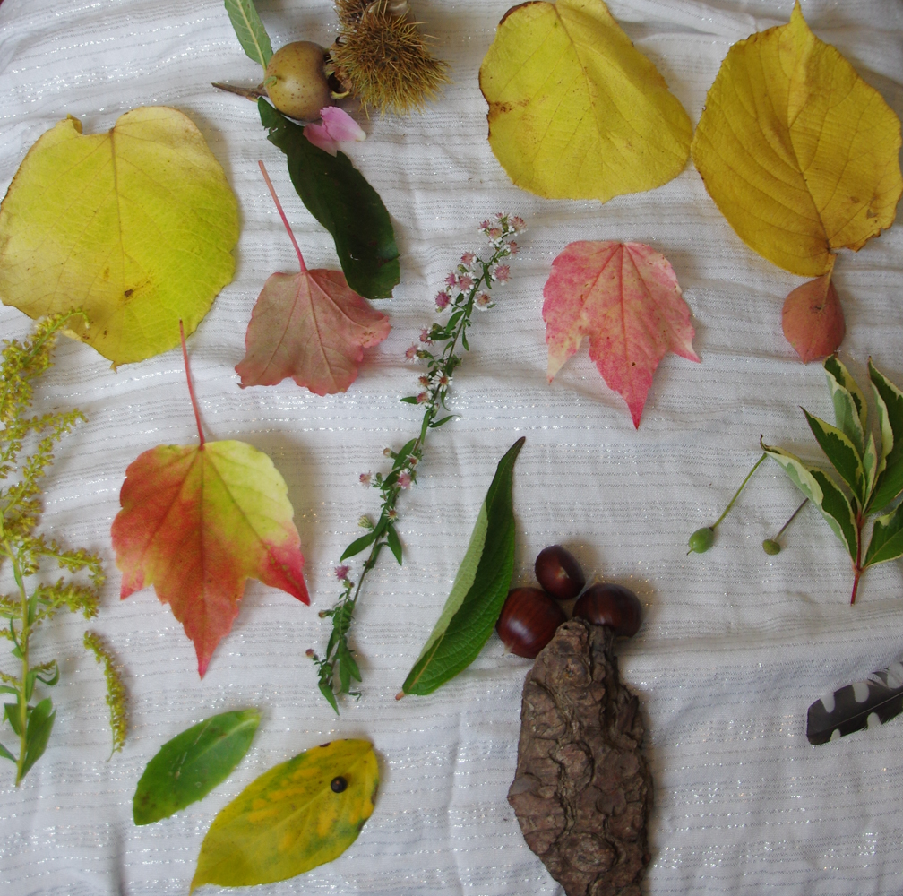 Blättertiere basteln