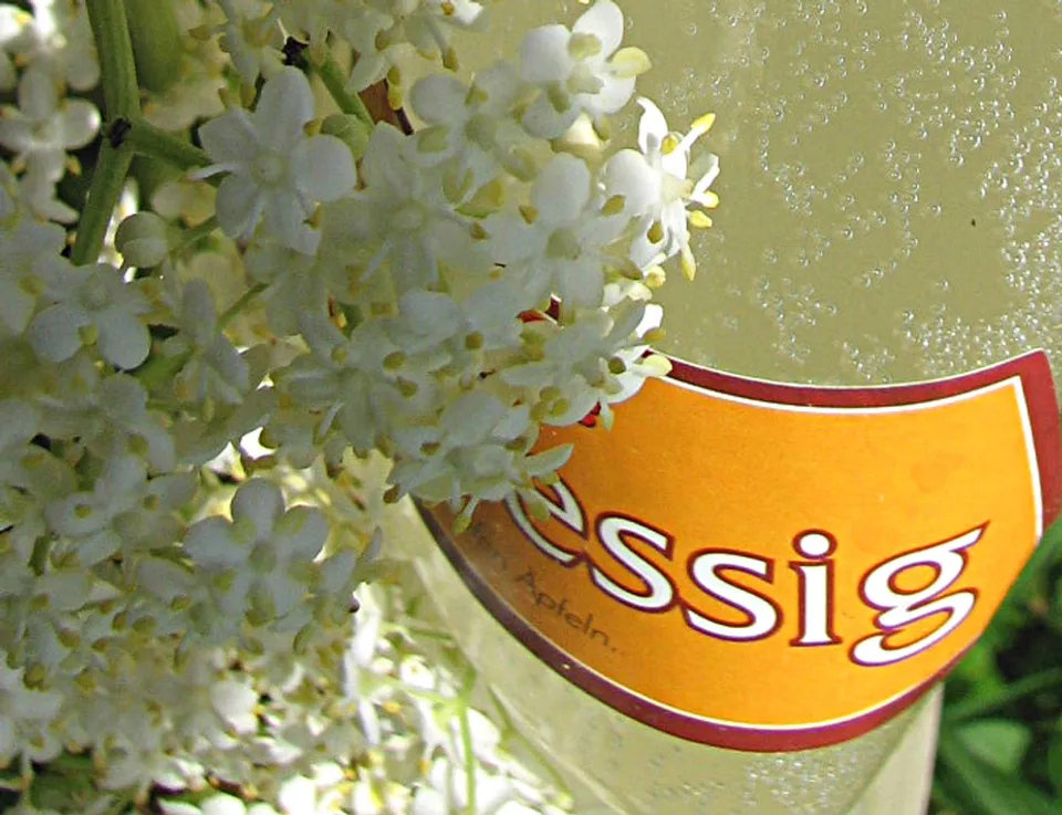 Holunderblütenessig