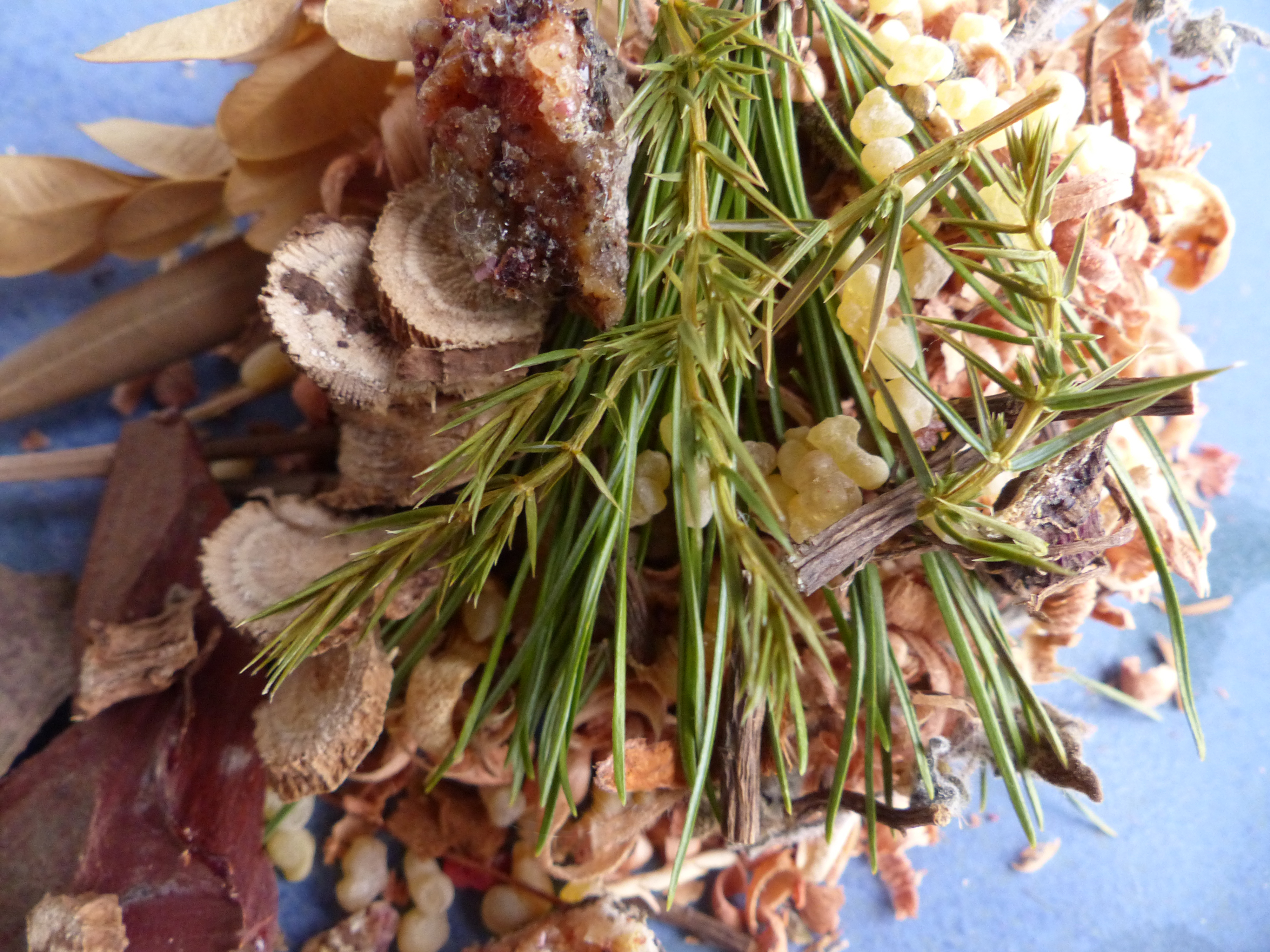 Räuchern - Techniken, Räucherrezepte