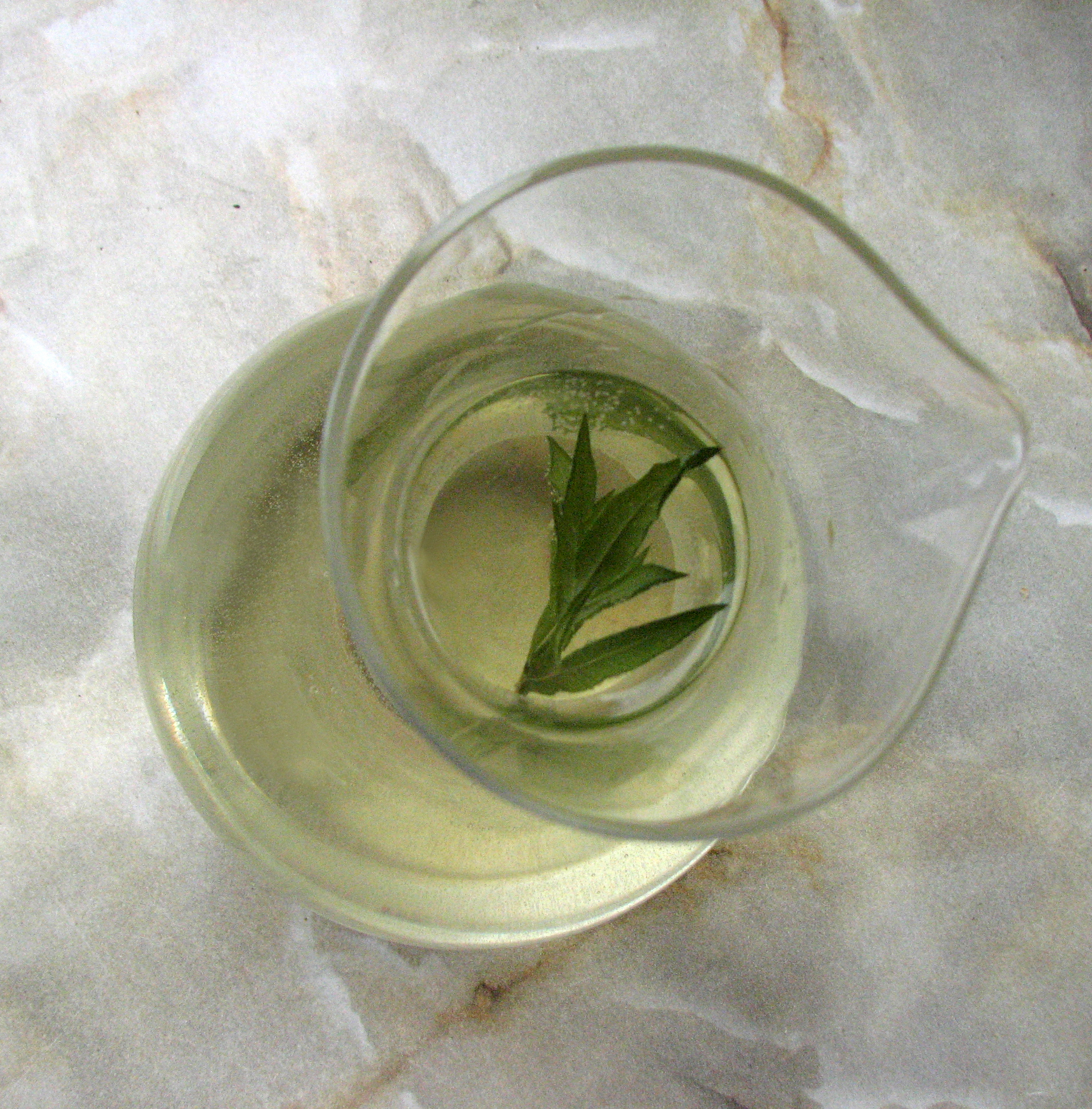 Beifußwein