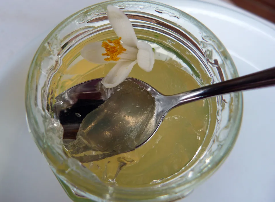 Zitronenblüten-Gelee 