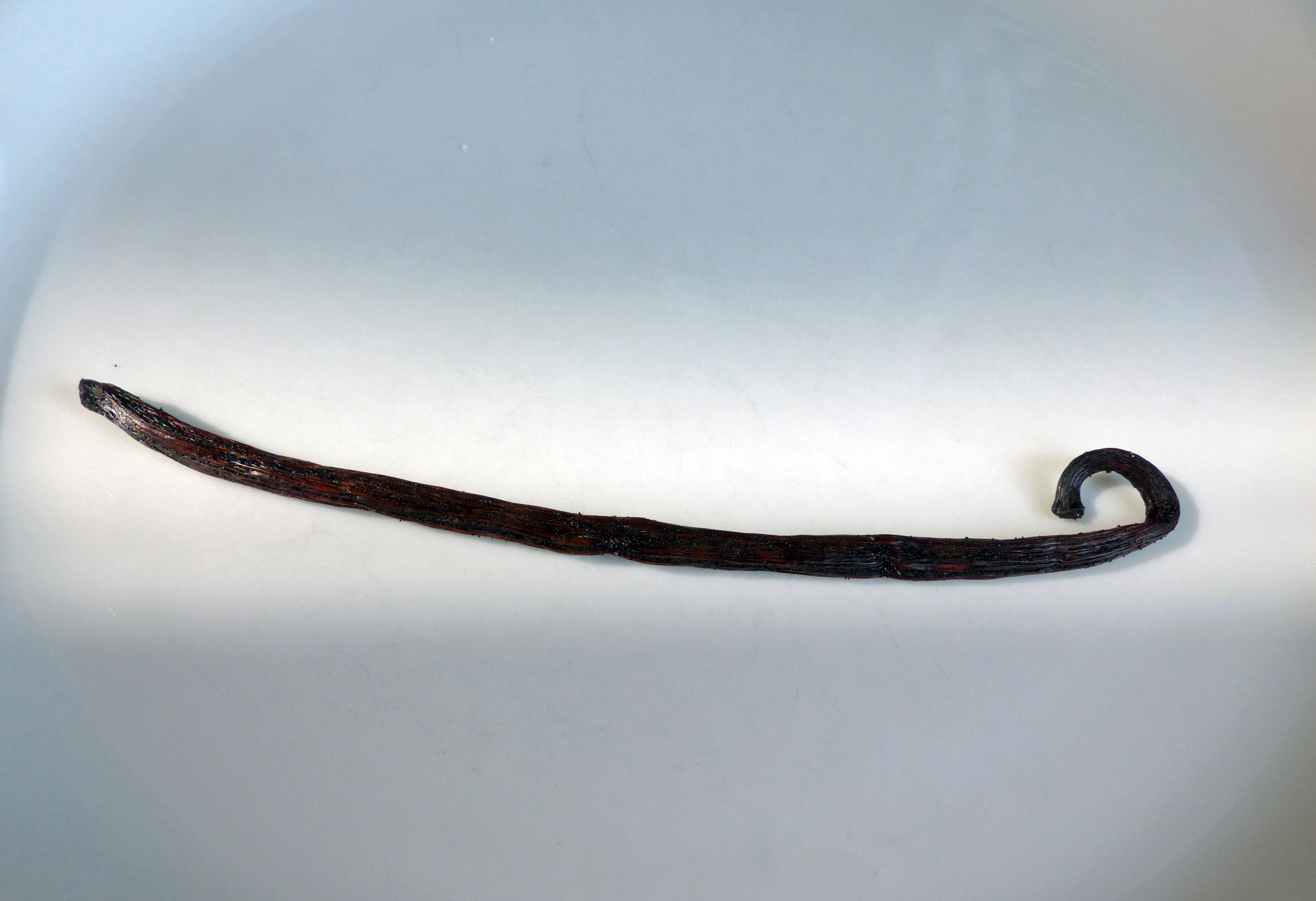 Vanillezucker machen