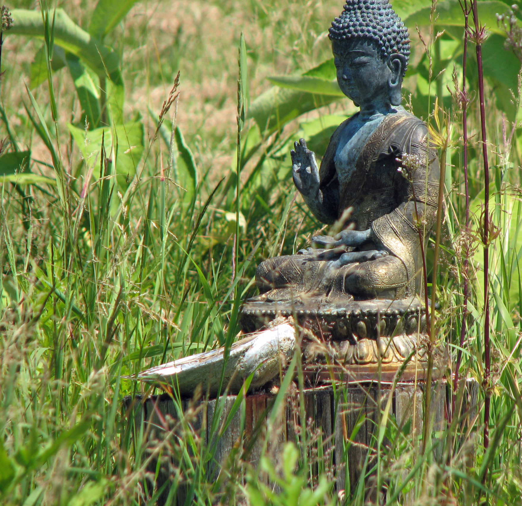 <p>Symbol für völkerverbindendes Räuchern: Buddha-Statue mit Räuchergefäß inmitten von Alant u. Beifuß, zwei europäischen Ur-Räucherpflanzen. Entdeckt im Allgäu in der Gärtnerei ARTEMISIA.</p>