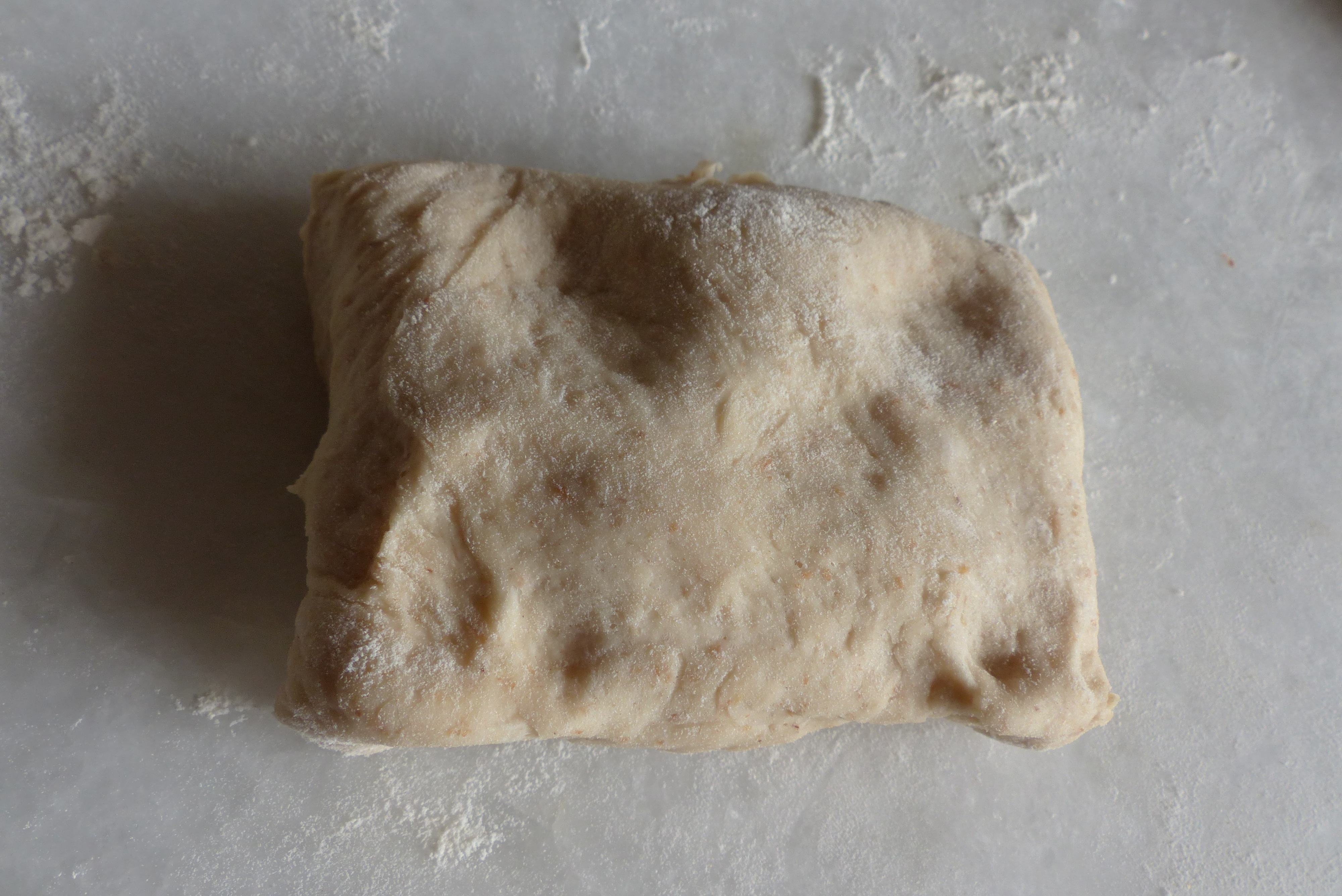 <p>Das Teigstück sachte rechteckig zurechtrücken.</p>