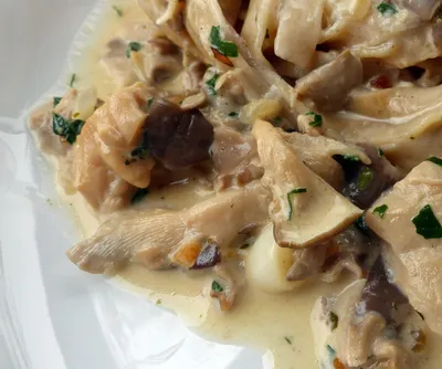 One-Pot-Pasta mit edler Pilzsauce