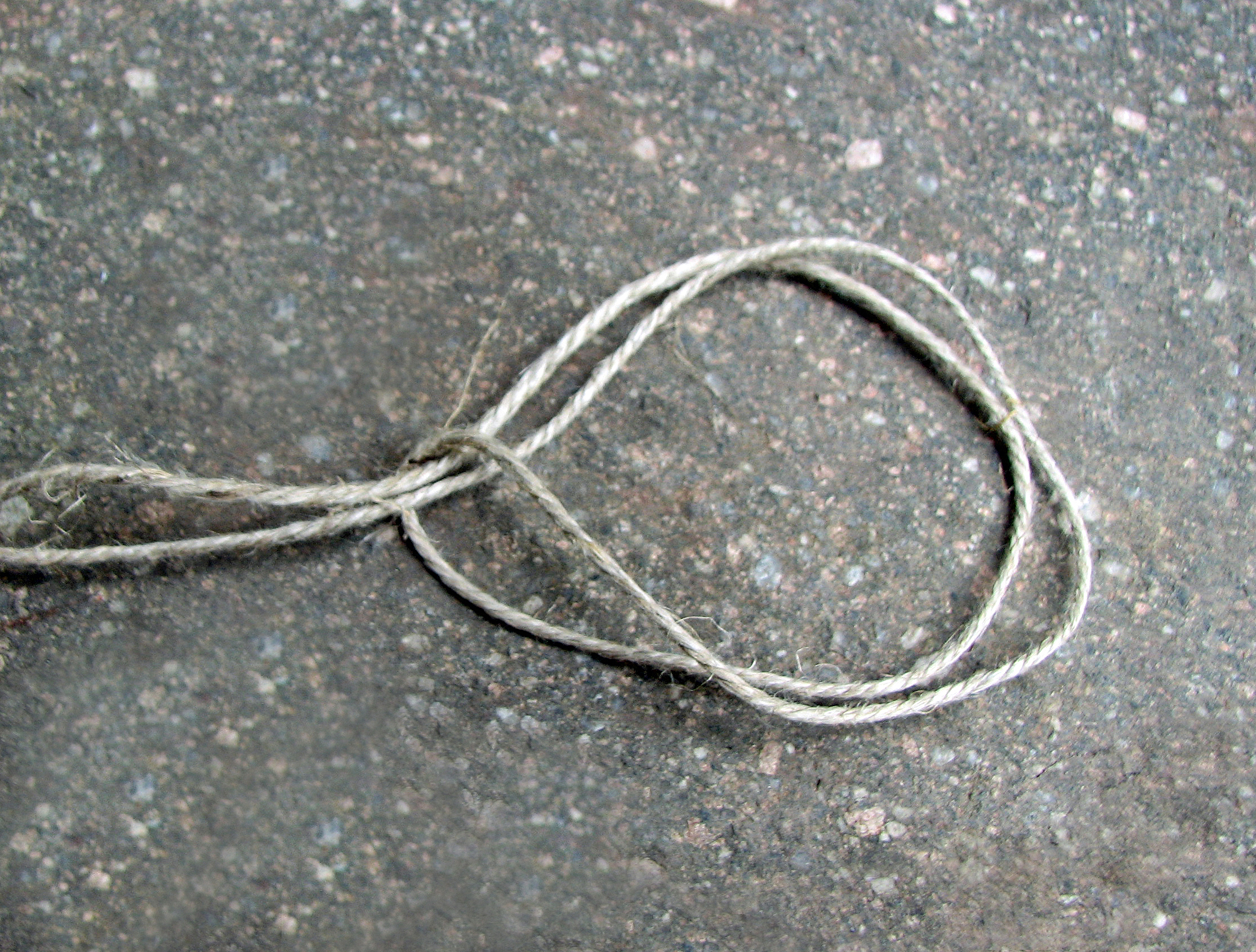 <p>In diese Schlaufe werden die gebündelten Stängel gesteckt.</p>