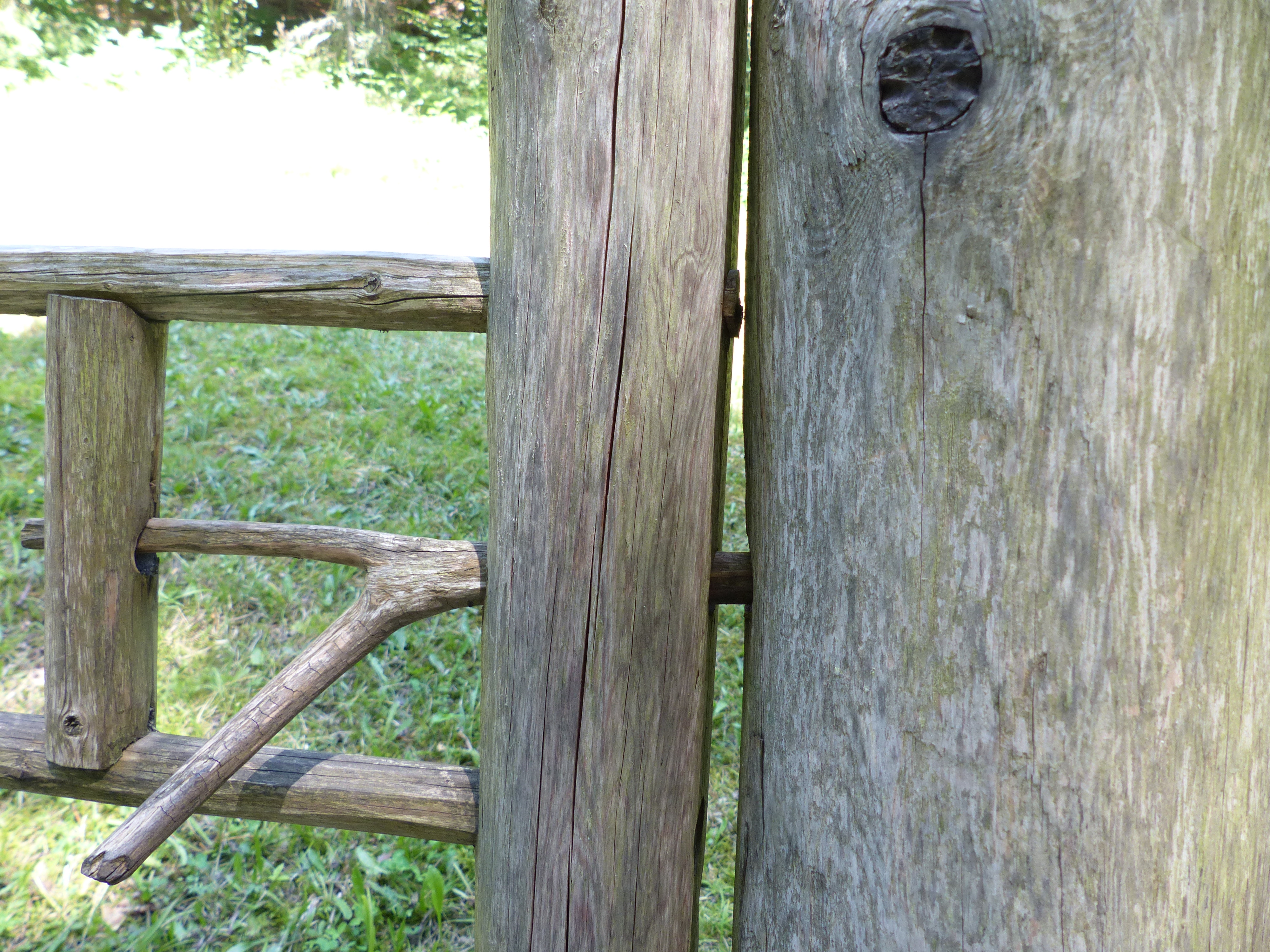 Weidenzäune  selber machen