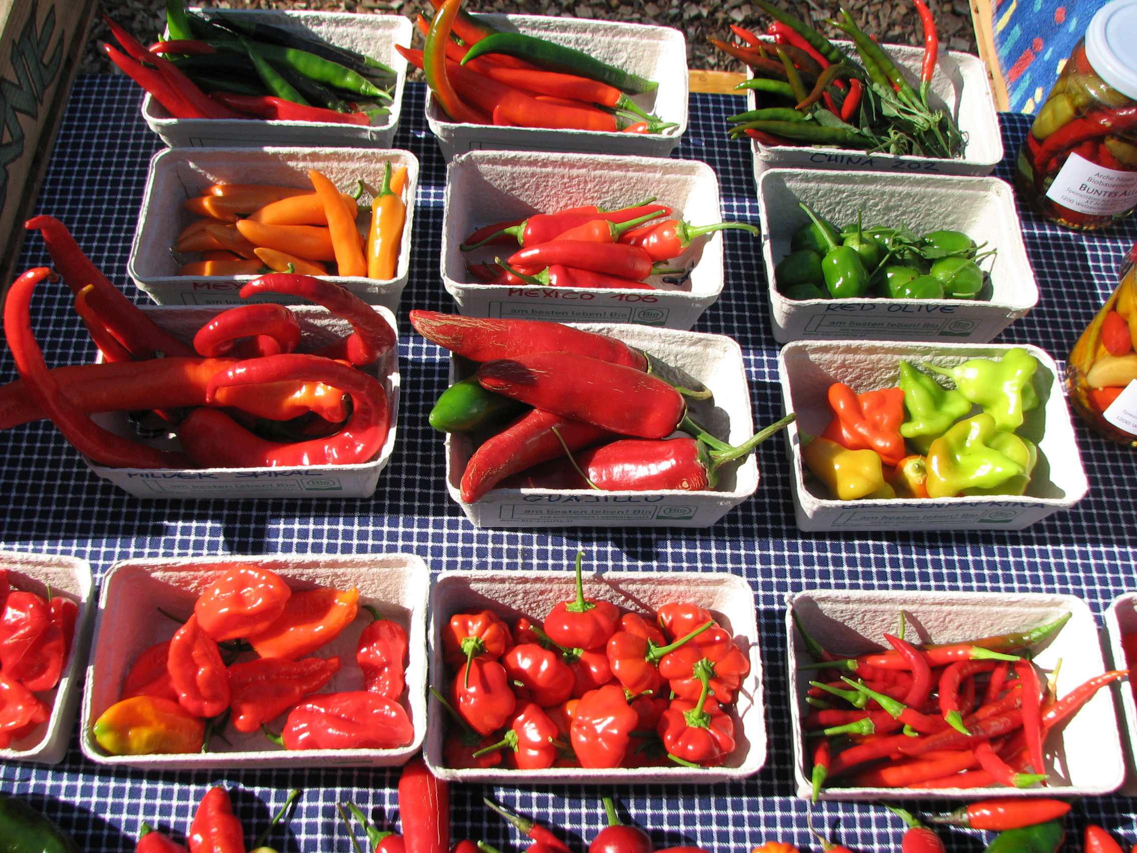 Paprika & Chili