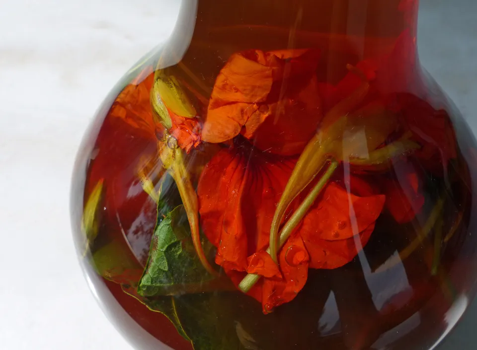 Essig und Tinktur mit Kapuzinerkresse