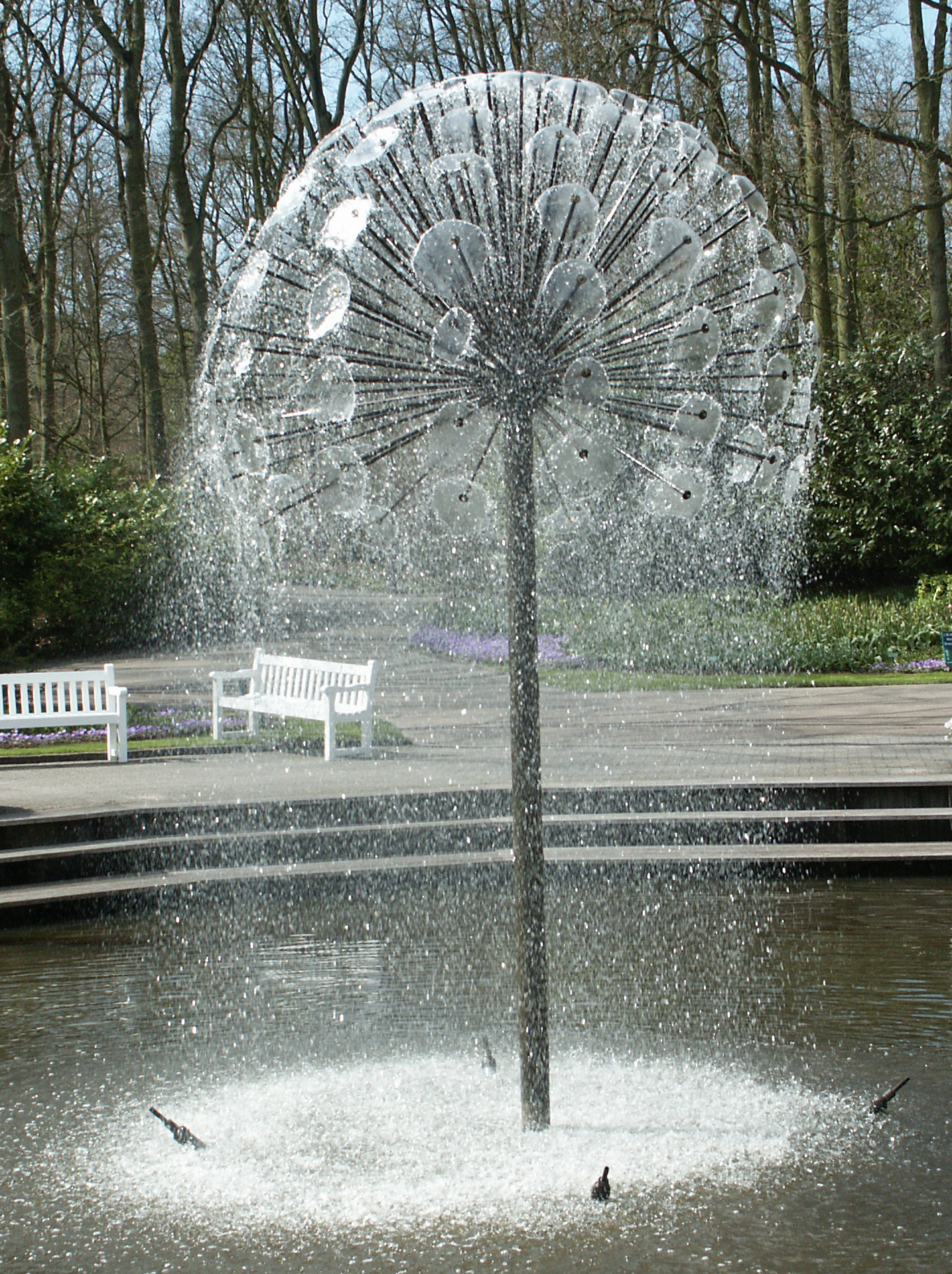 Gewöhnlicher Löwenzahn