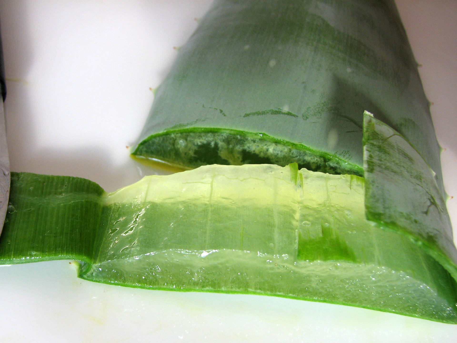 Aloe vera-Gel, frisch, schnell!