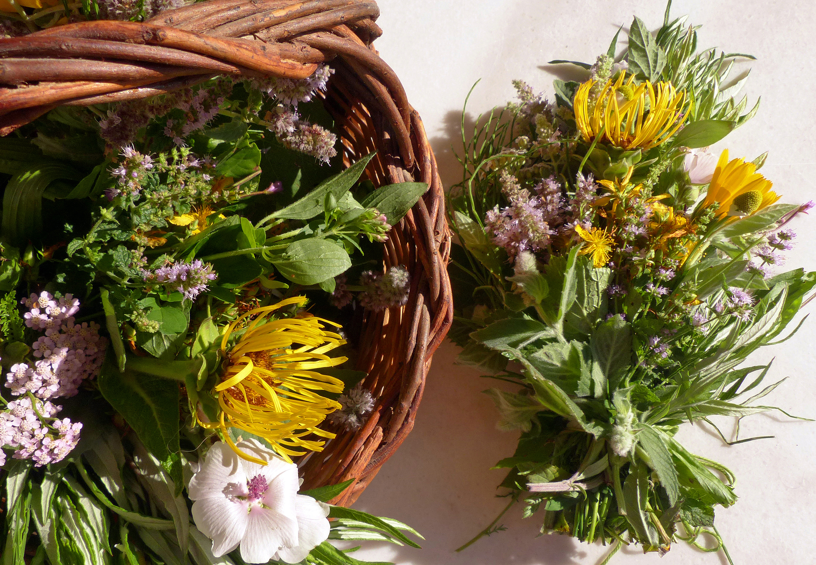 Kräuterbuschen, Kräuterbüschel