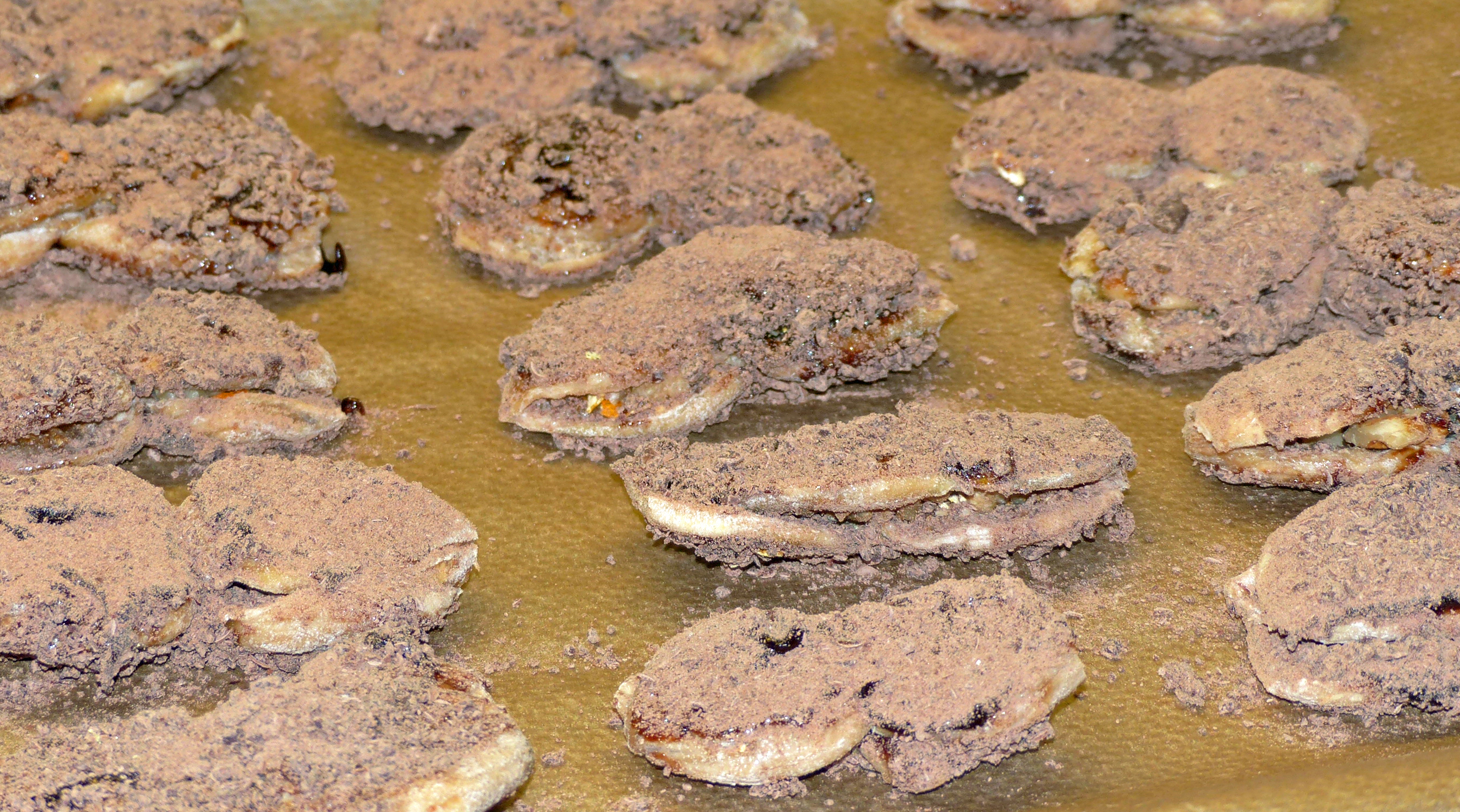 Weihnachtsfeigen, Fichi di Natale, Chiuppella