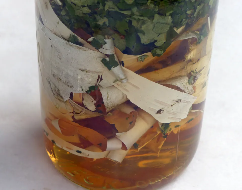 Birkenessig - für Haut und Haar