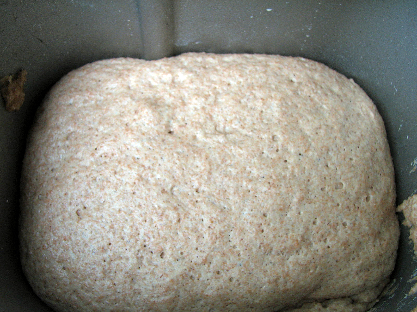 Roggenbrot mit Sauerteig per Brotbackautomaten