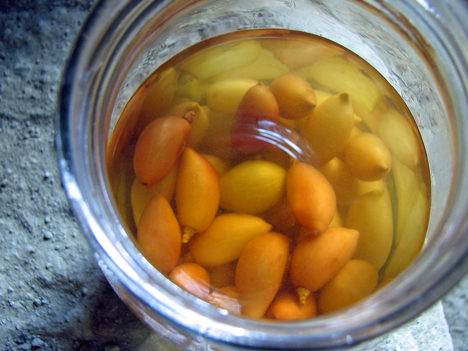 Weintrauben mit Wildem Fenchel