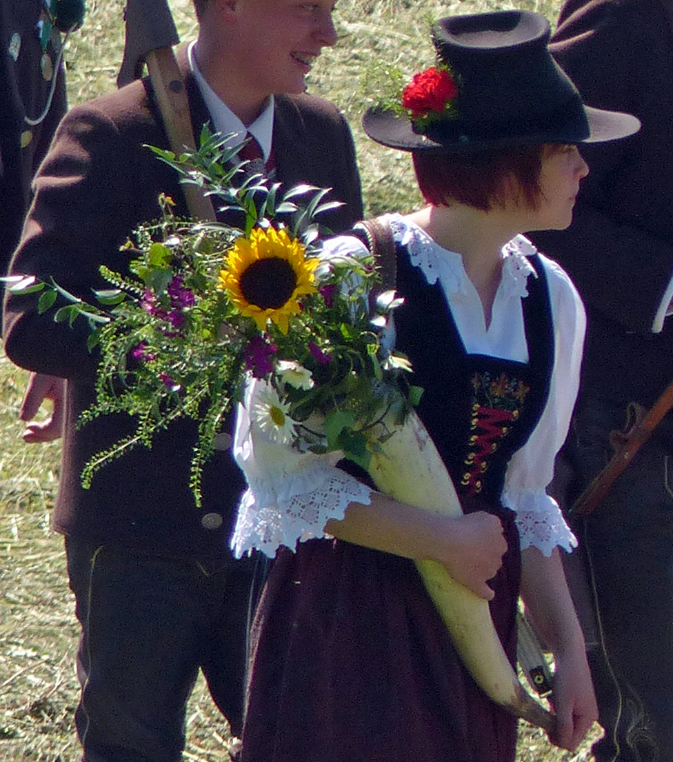 Edelnelke, Gartennelke, Landnelke, Topfnelke