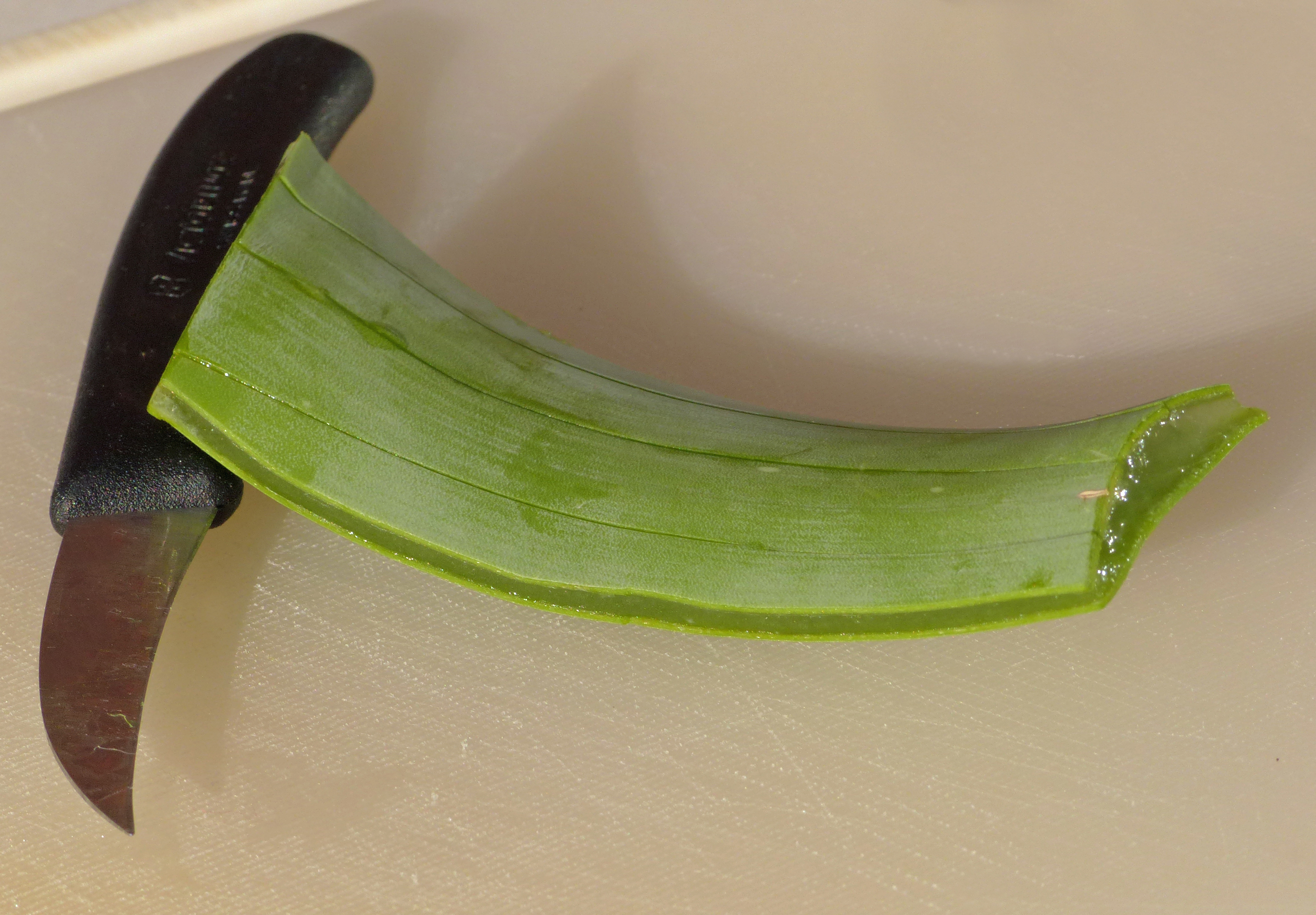 Aloe vera-Gel aus ganzem Blatt