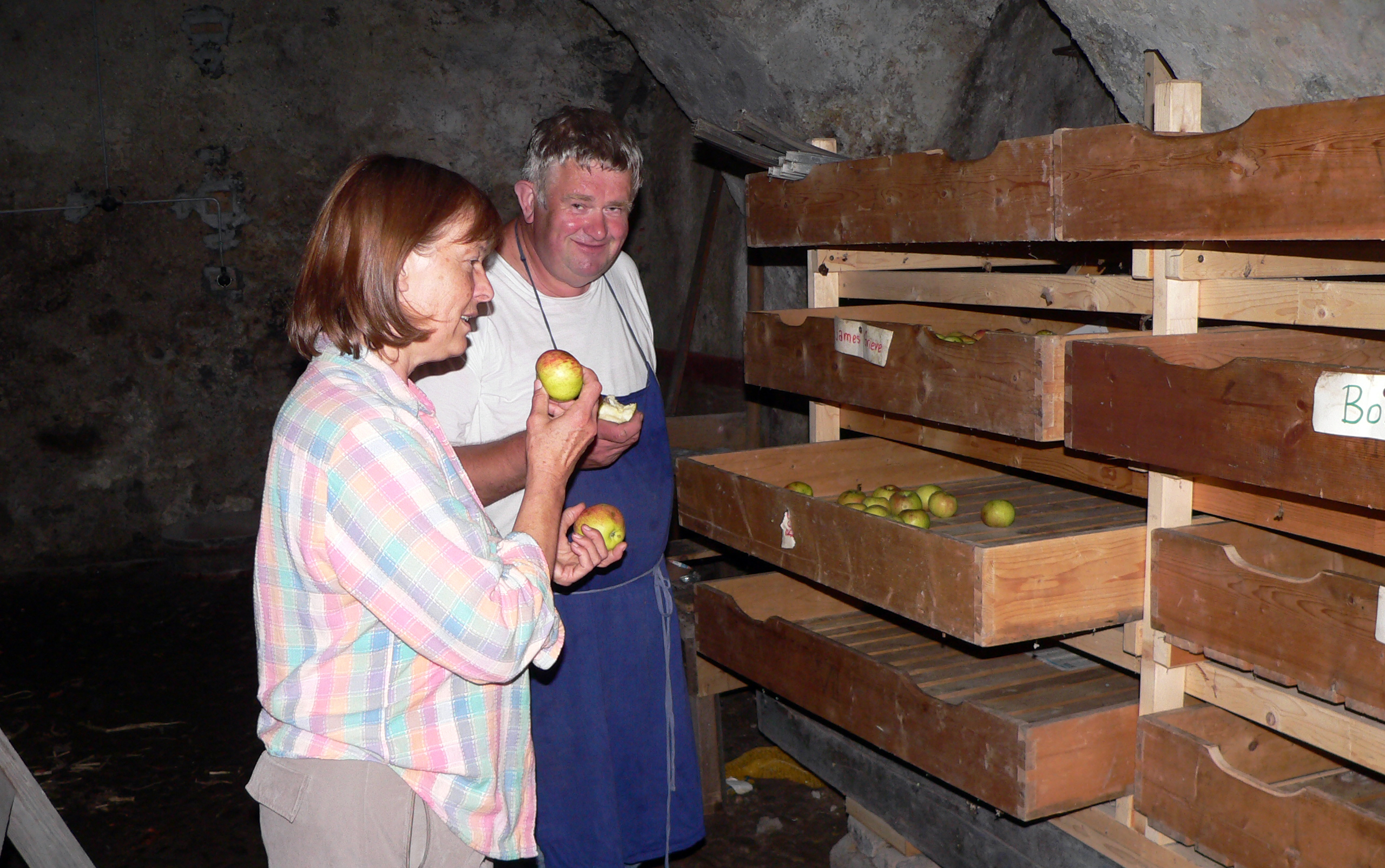 Apfel