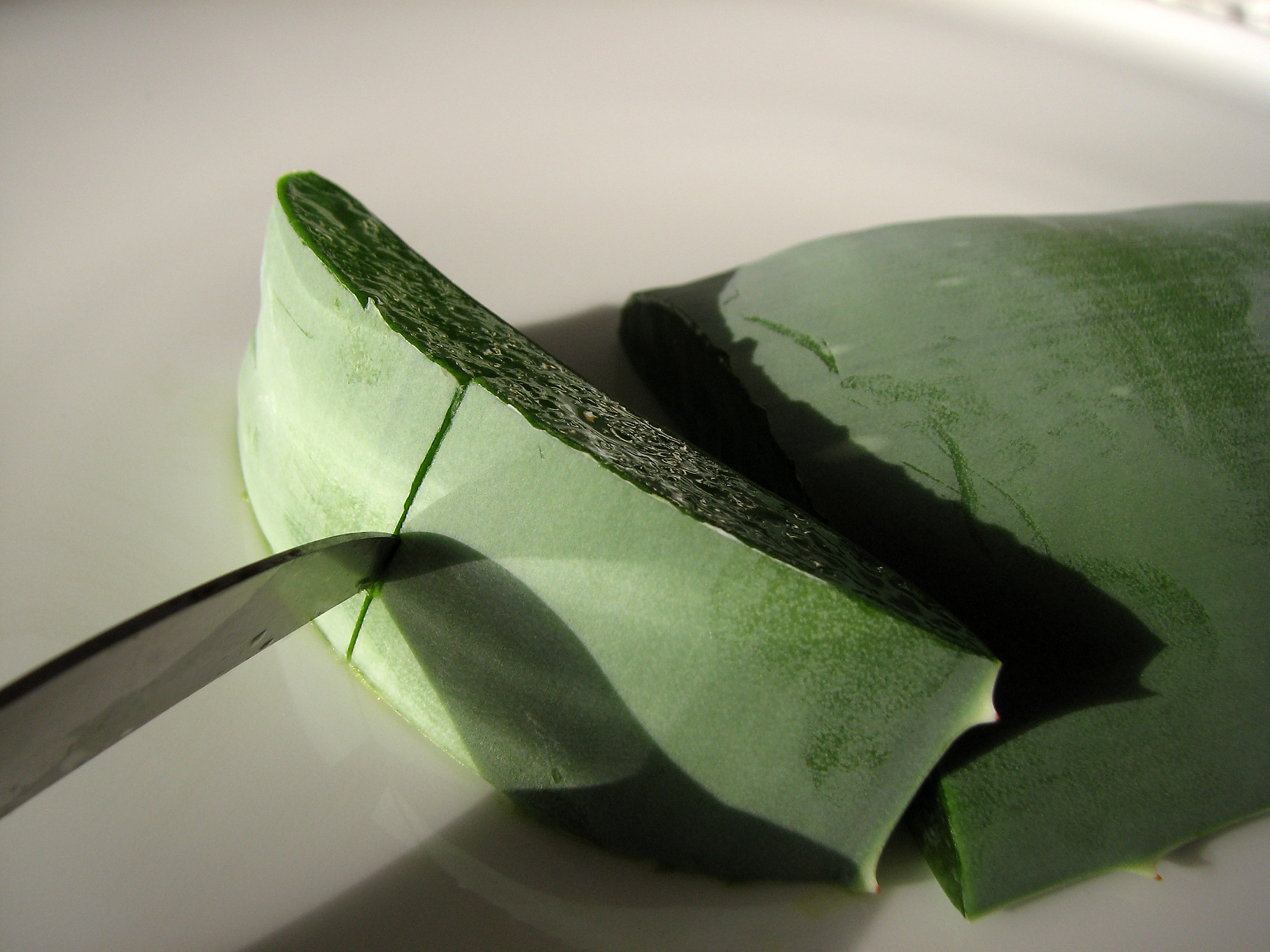 Aloe vera-Gel, frisch, schnell!
