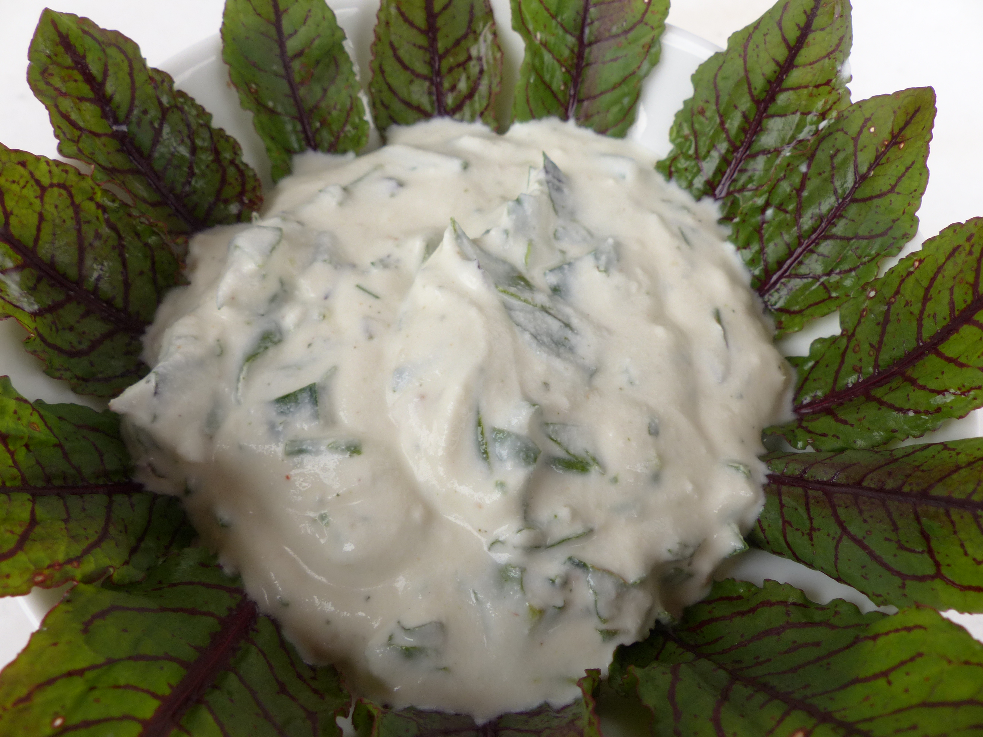 Kräutertopfen, Kräuterquark