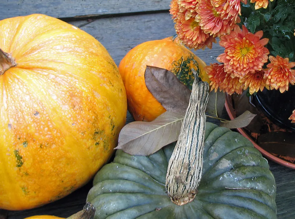 Giftige Speisekürbisse
