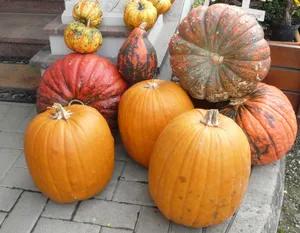 Halloweenkürbis