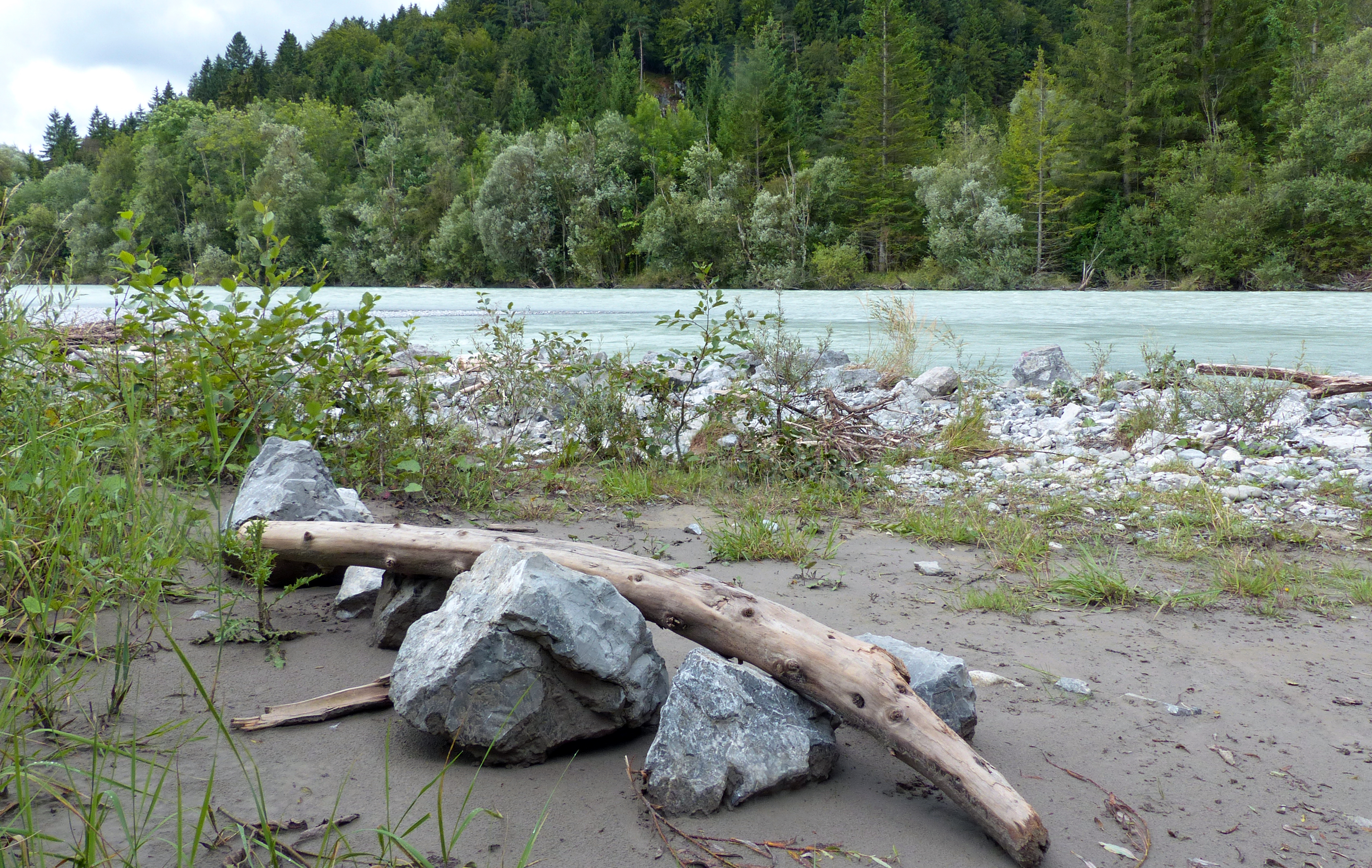 Sandkuchen, Teig mit Butter oder Öl