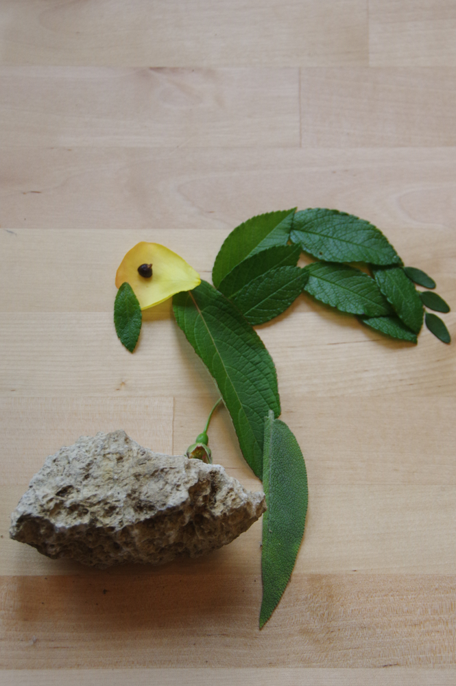 Blättertiere basteln