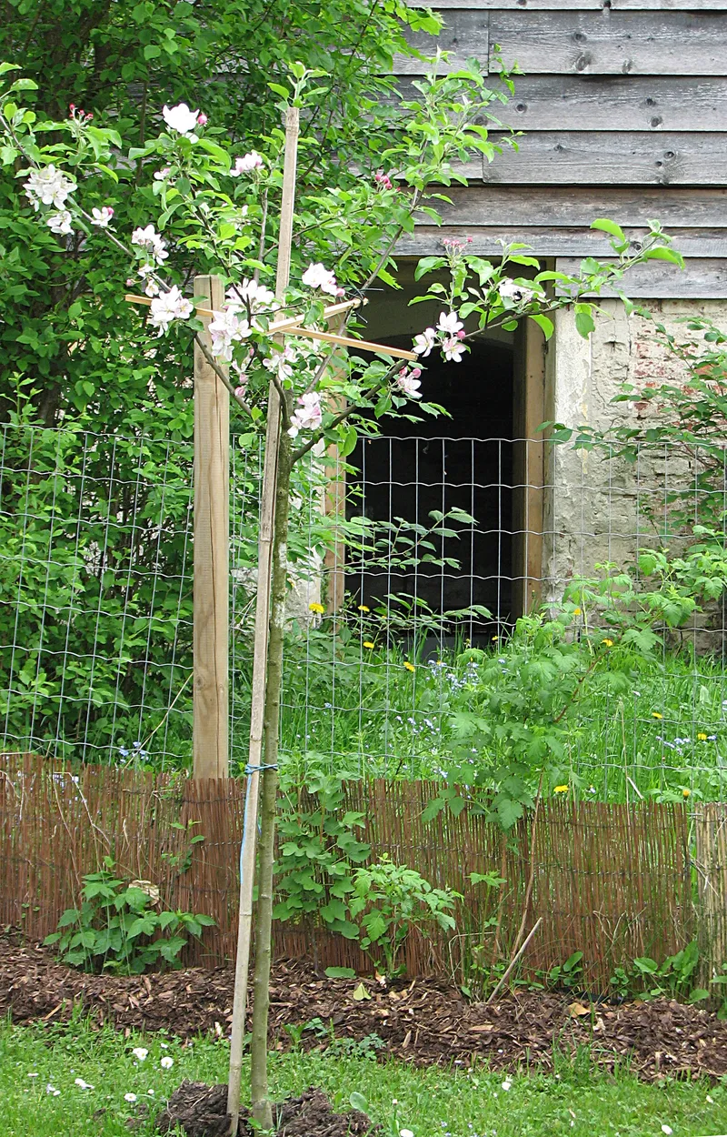 Vom Anpflanzen kleiner und großer Pflanzen