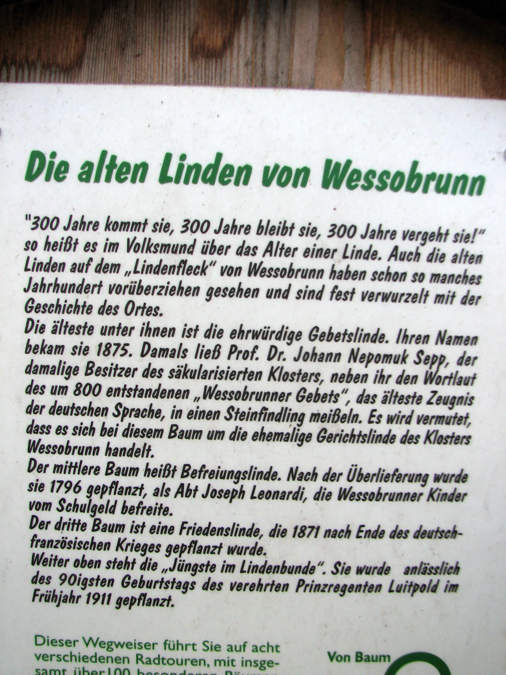 Winterlinde