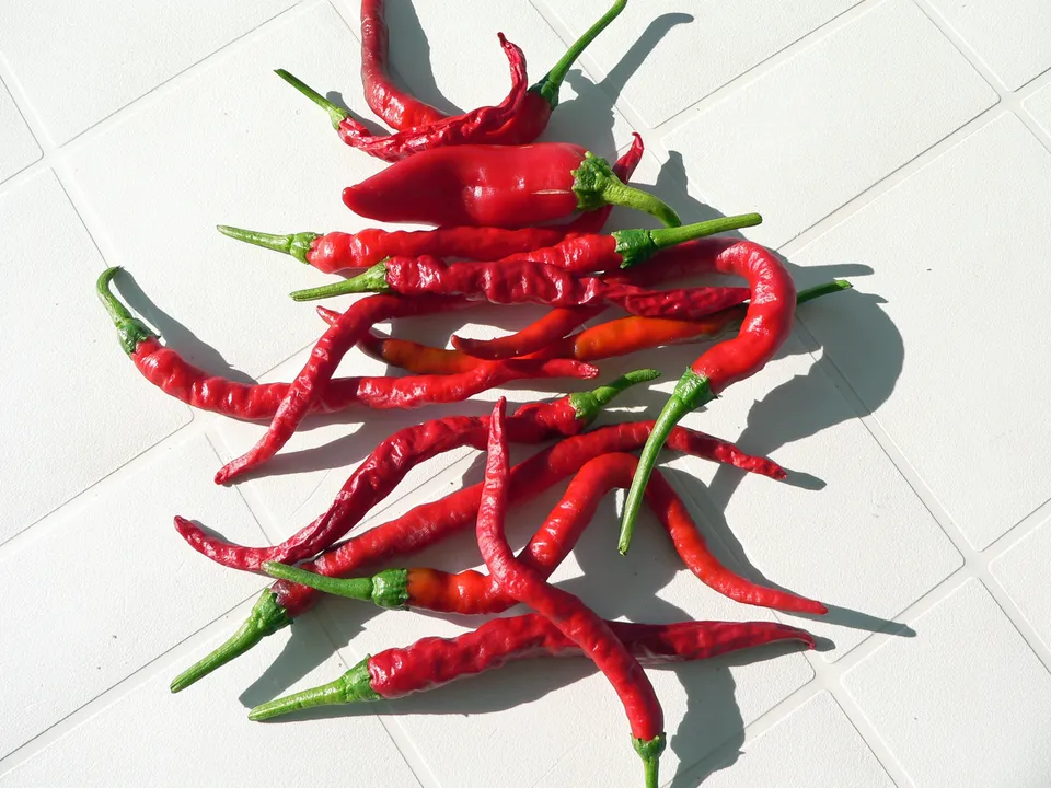 Paprika & Chili