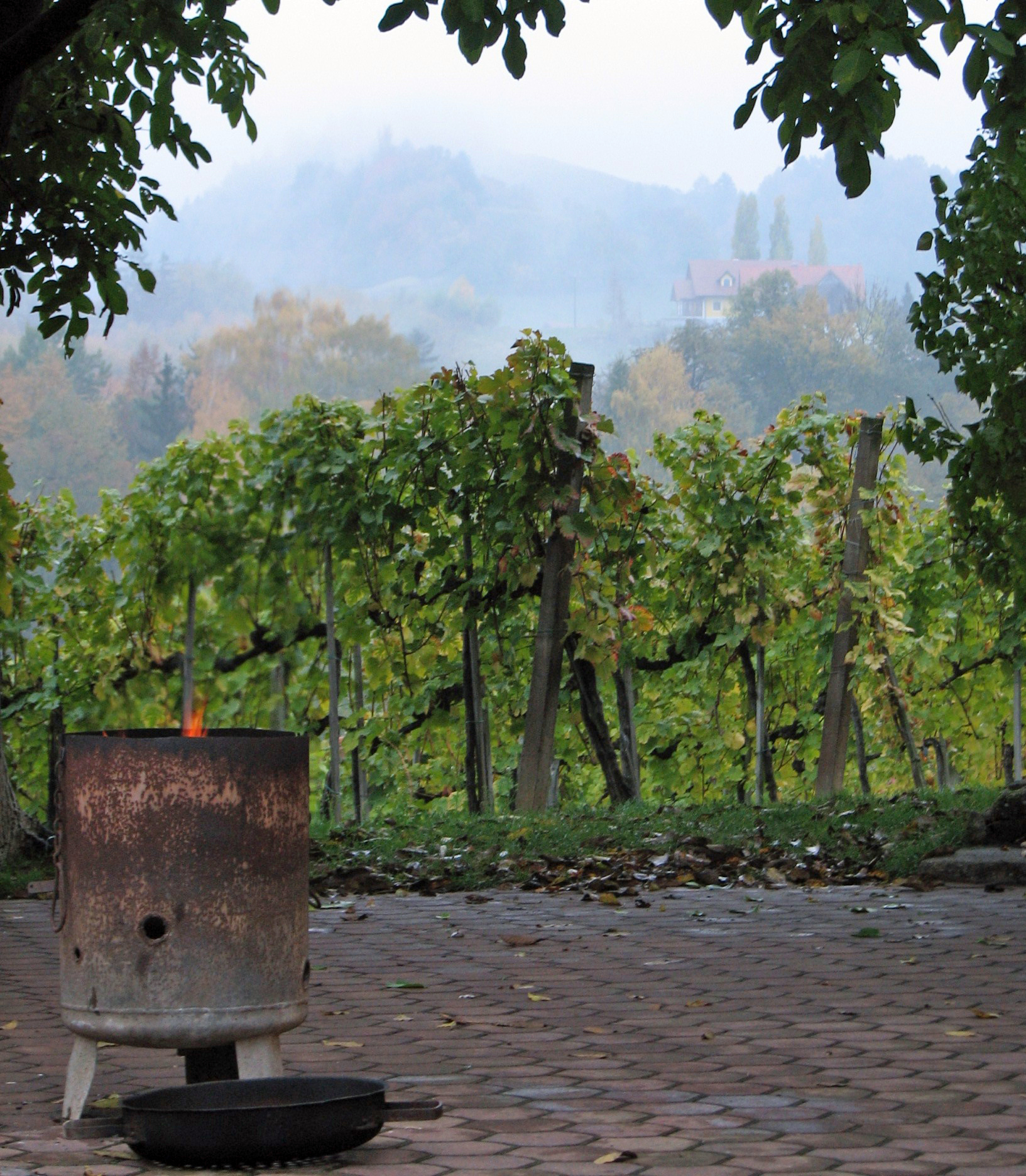 <p>Hier, in der Südsteiermark, wird ein Kastanienröster angefeuert. Die gelochte Pfanne liegt daneben. Sie wird erst aufgesetzt, wenn die Glut da ist.</p>