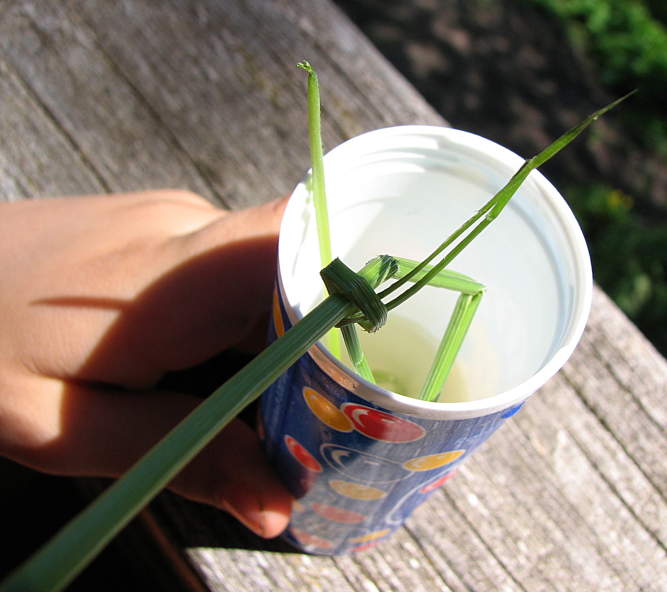 <p>Blasring wie gewohnt in Seifenblasenlauge eintauchen. </p>