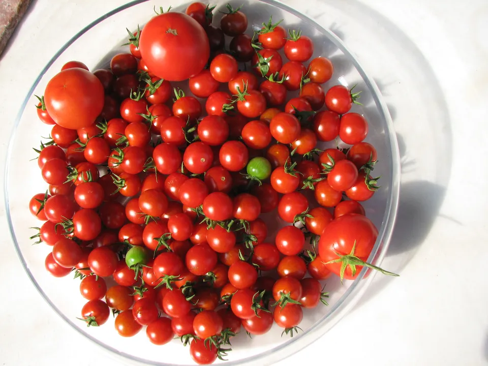 Tomate