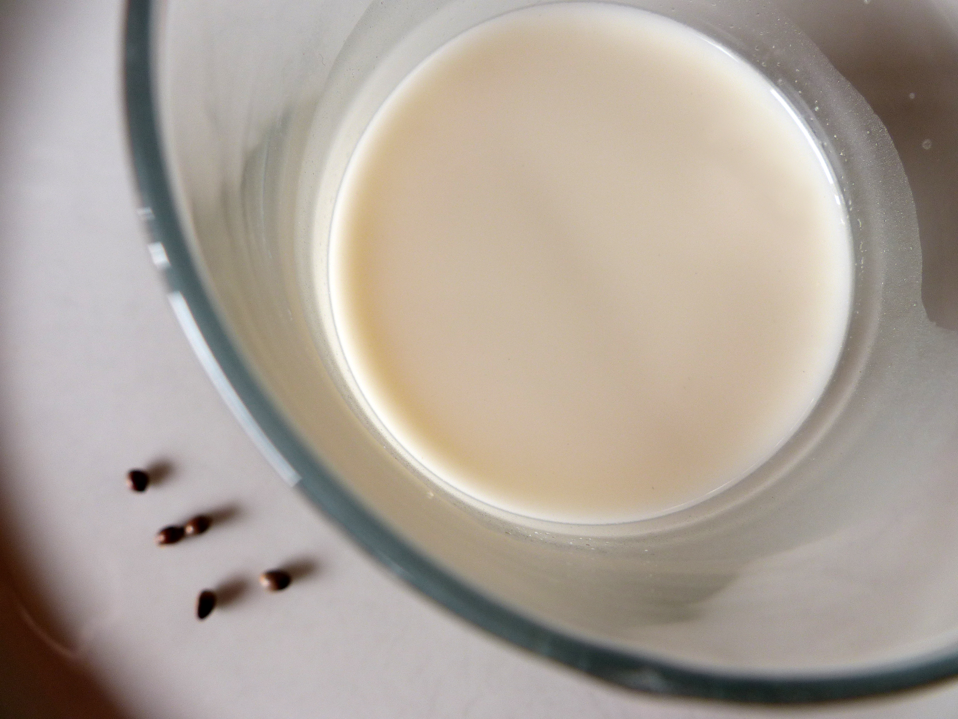Hanfmilch