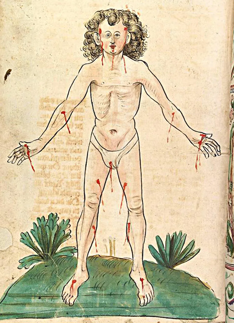 Nachwirkungen der Lehre Galens