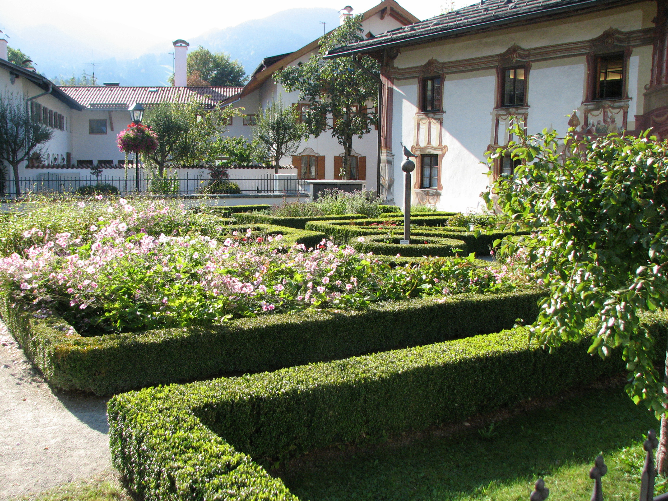 Buchsbaum