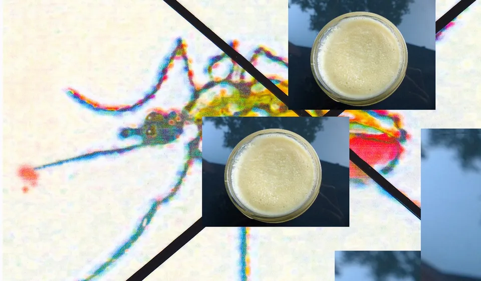 Insektenabweisendes OLEOGEL““VerDufte!“  