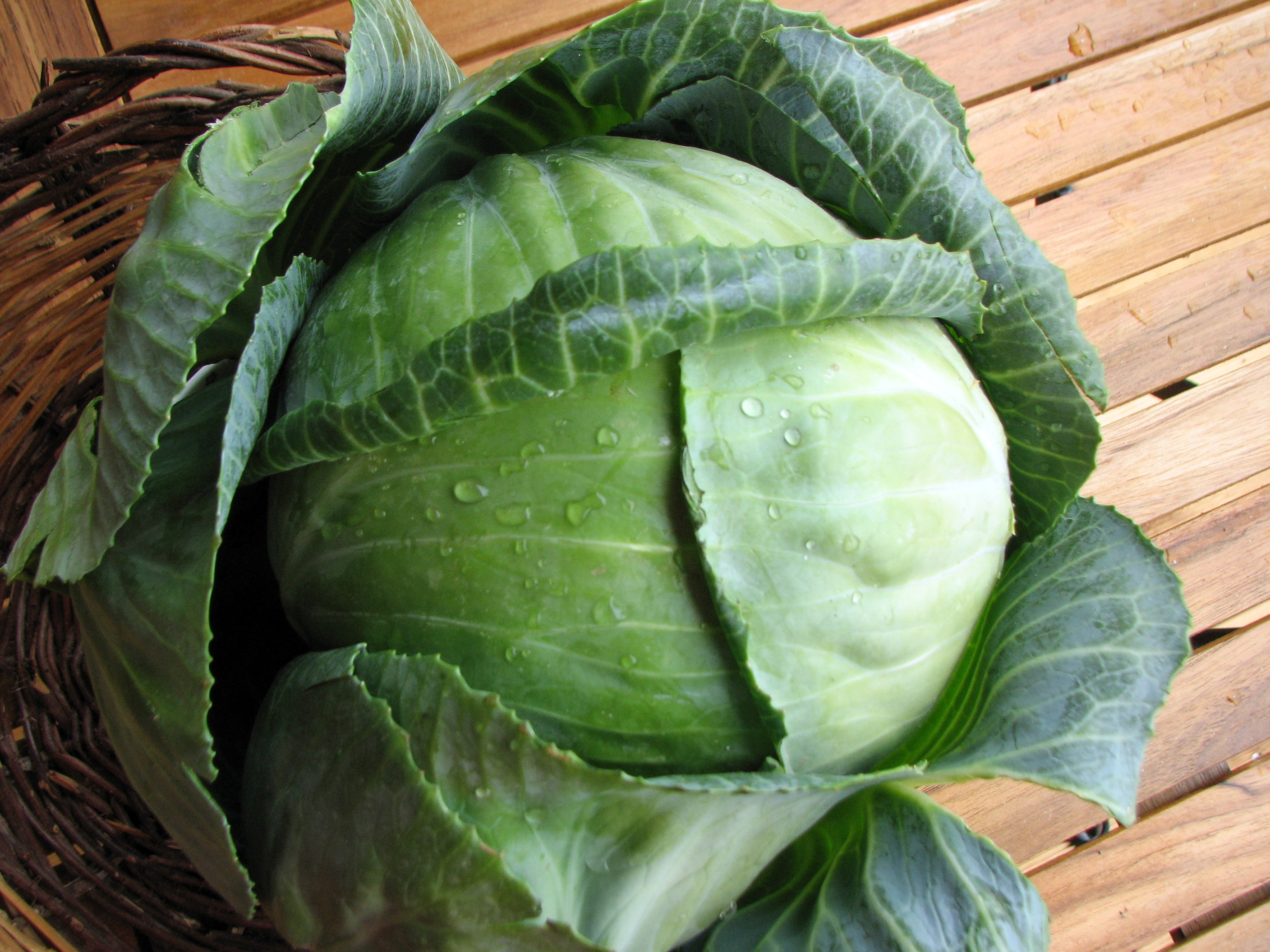 <p>Hauptzutat Nr. 1</p>