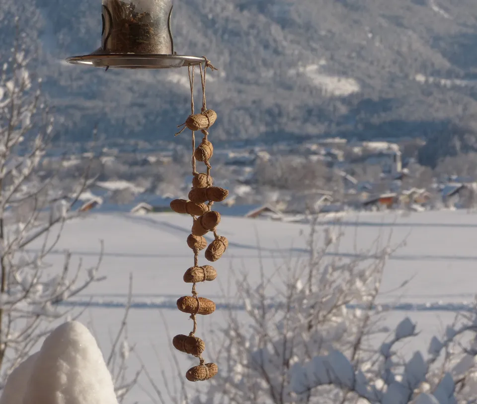 Erdnusskette für Meisen