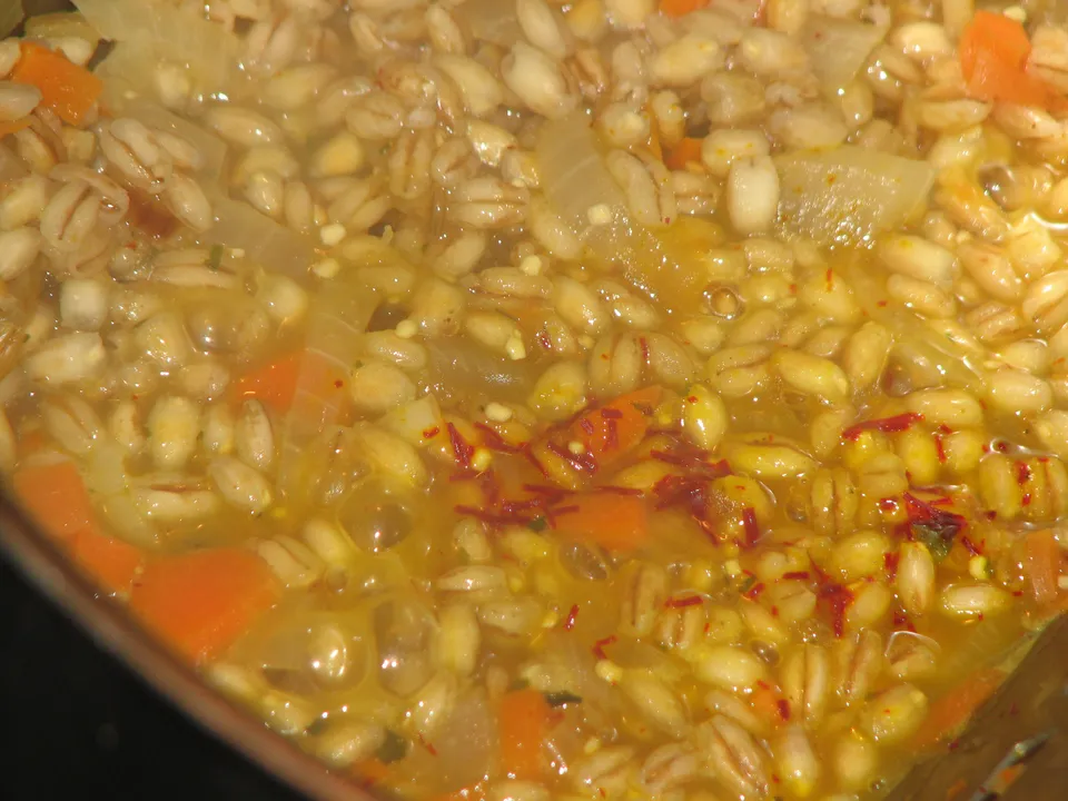 Orzotto mit Fenchel