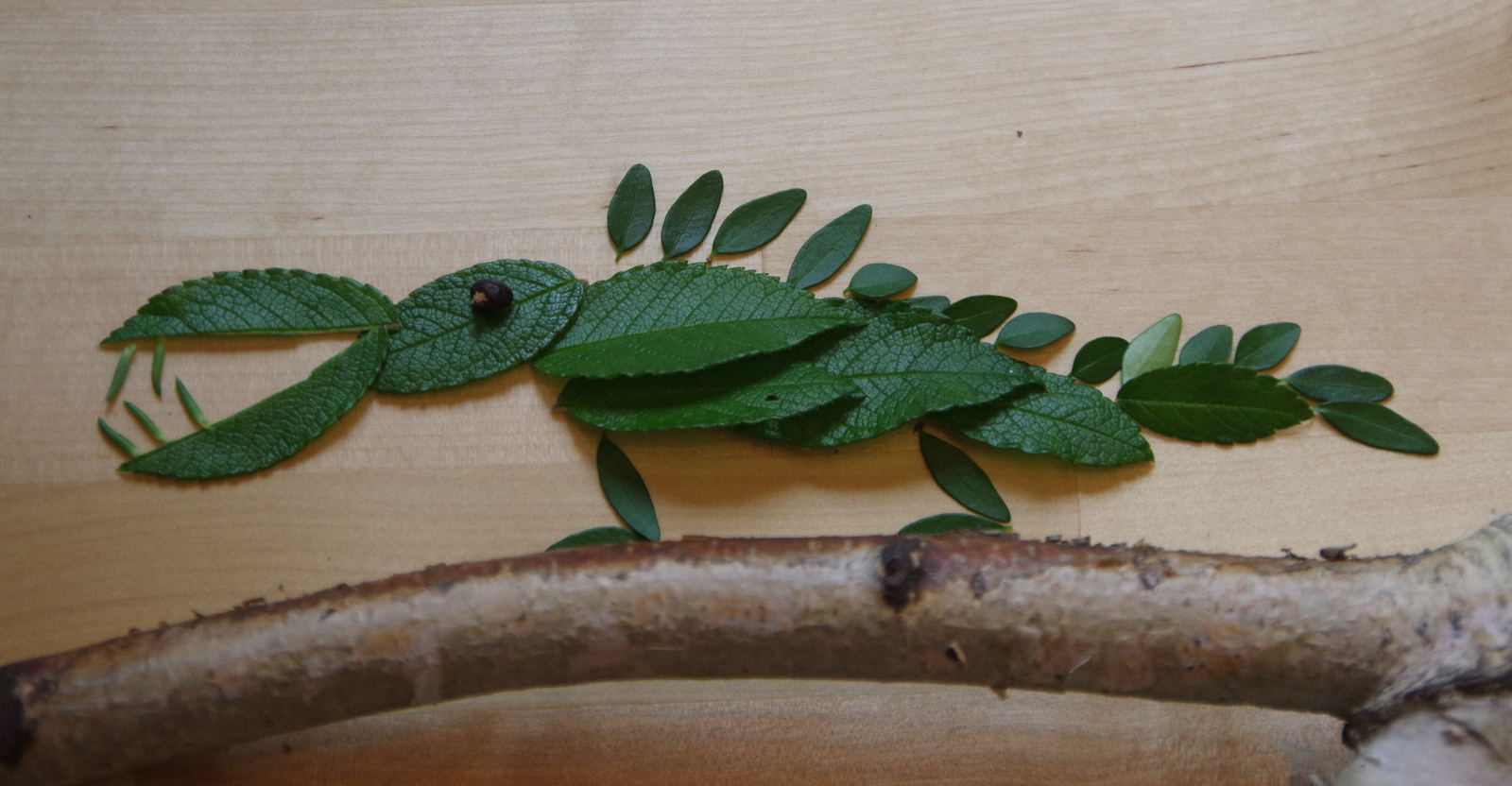 Blättertiere basteln