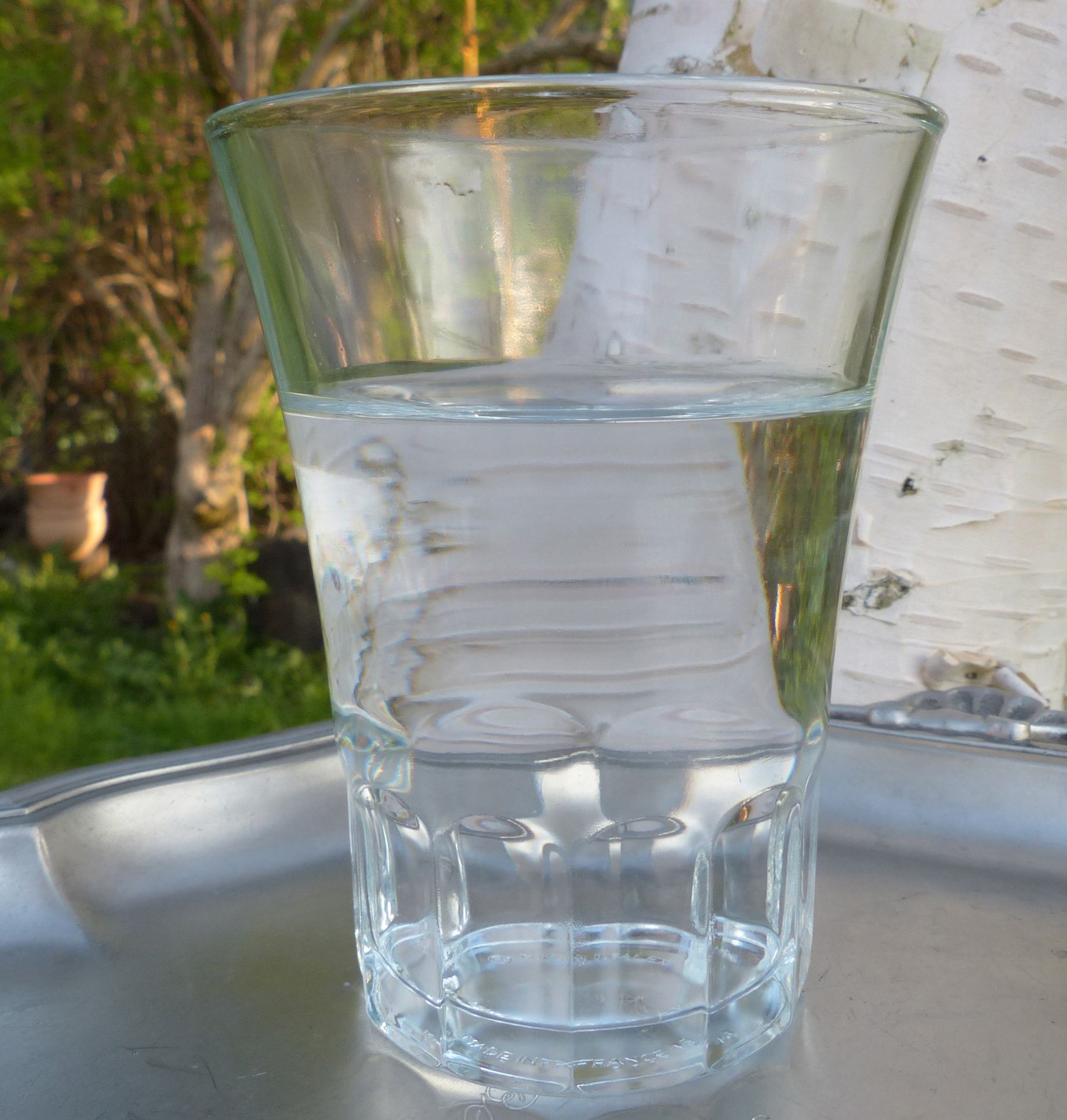 Birkensaft (Birkenwasser) zapfen