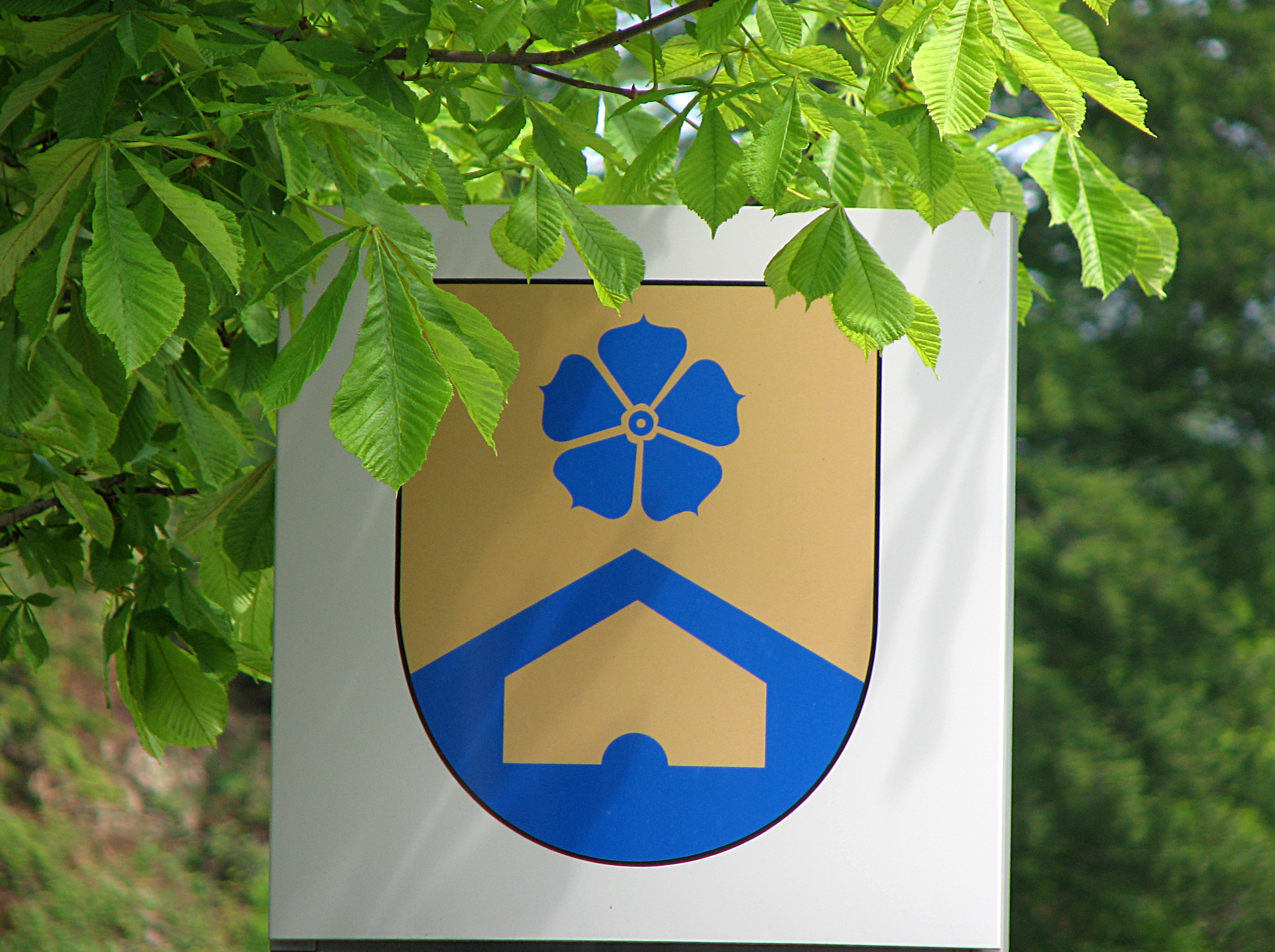Echter Lein