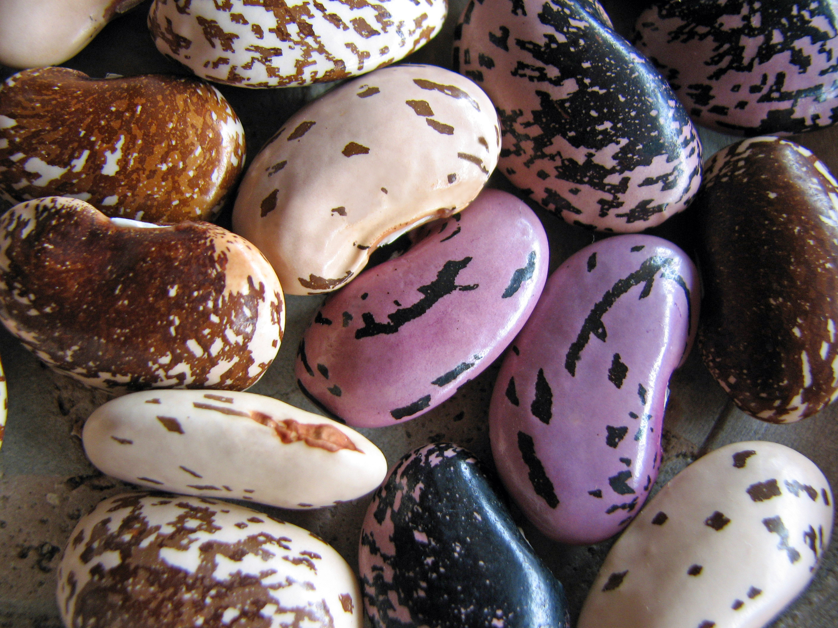 Bohnen u. Kichererbsen mit Tipps kochen