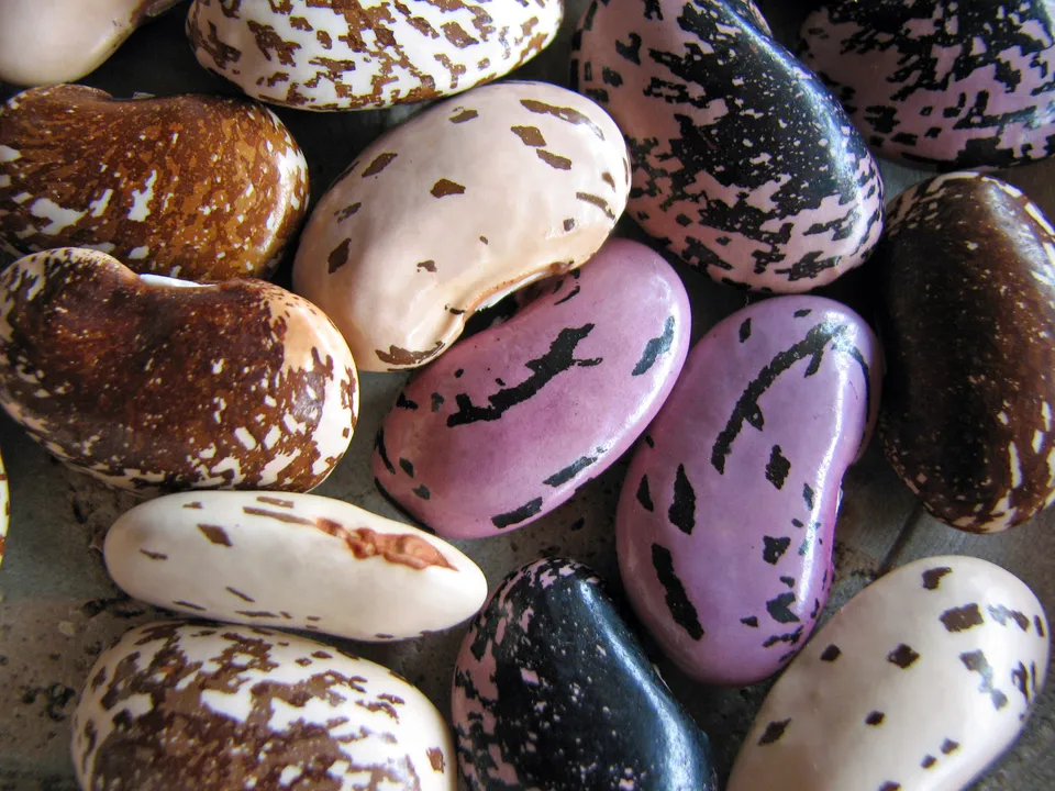 Bohnen u. Kichererbsen mit Tipps kochen