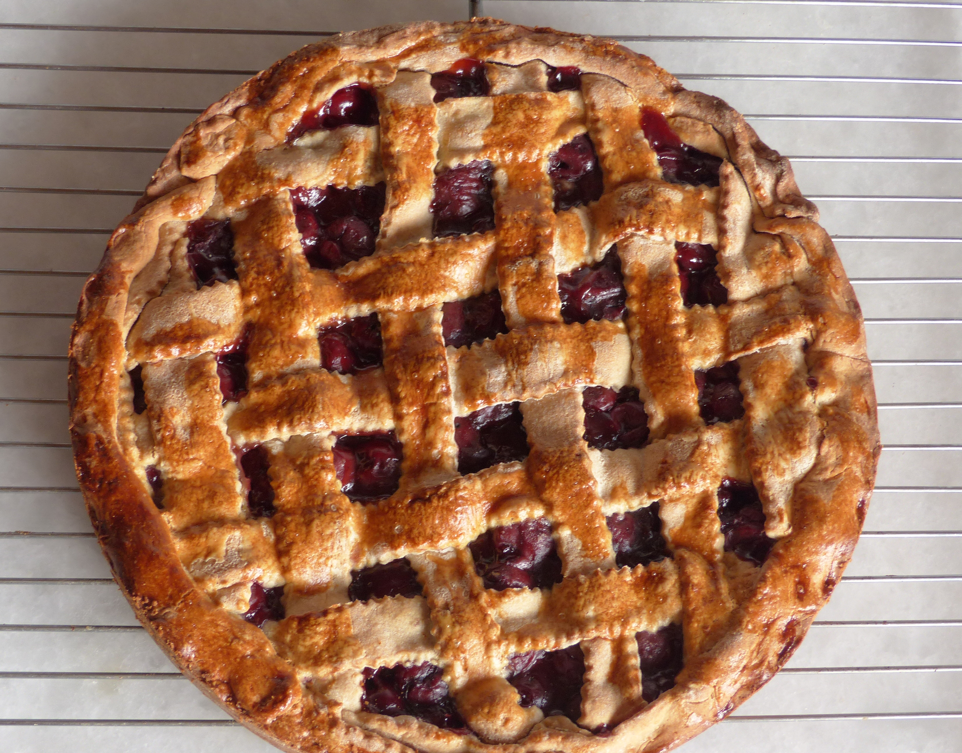 Mürbteigkuchen mit Teiggitter
